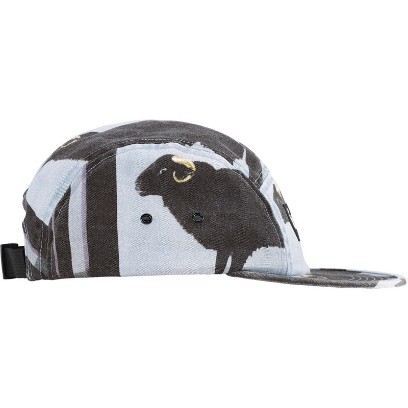 Supreme 25SS Damien Hirst Camp Cap