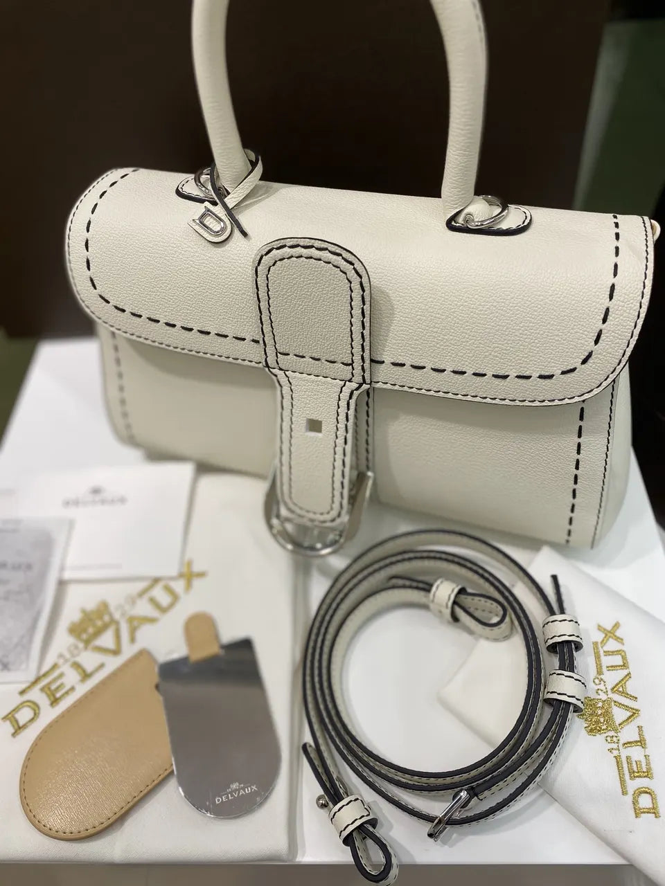 Delvaux Ivory Stitch Bag - Hình 3