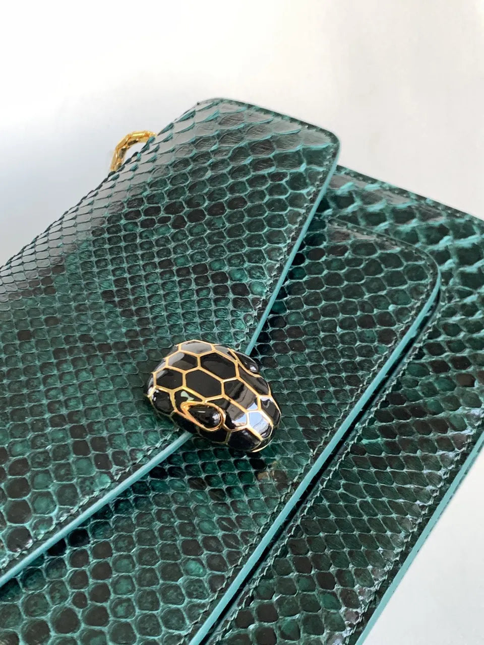 Emerald Green Python Serpenti - Hình 5