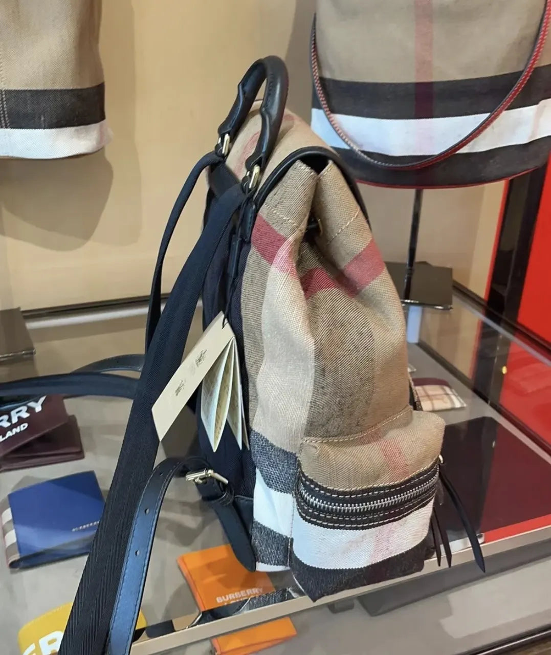 Burberry Beige Check Backpack - Hình 8