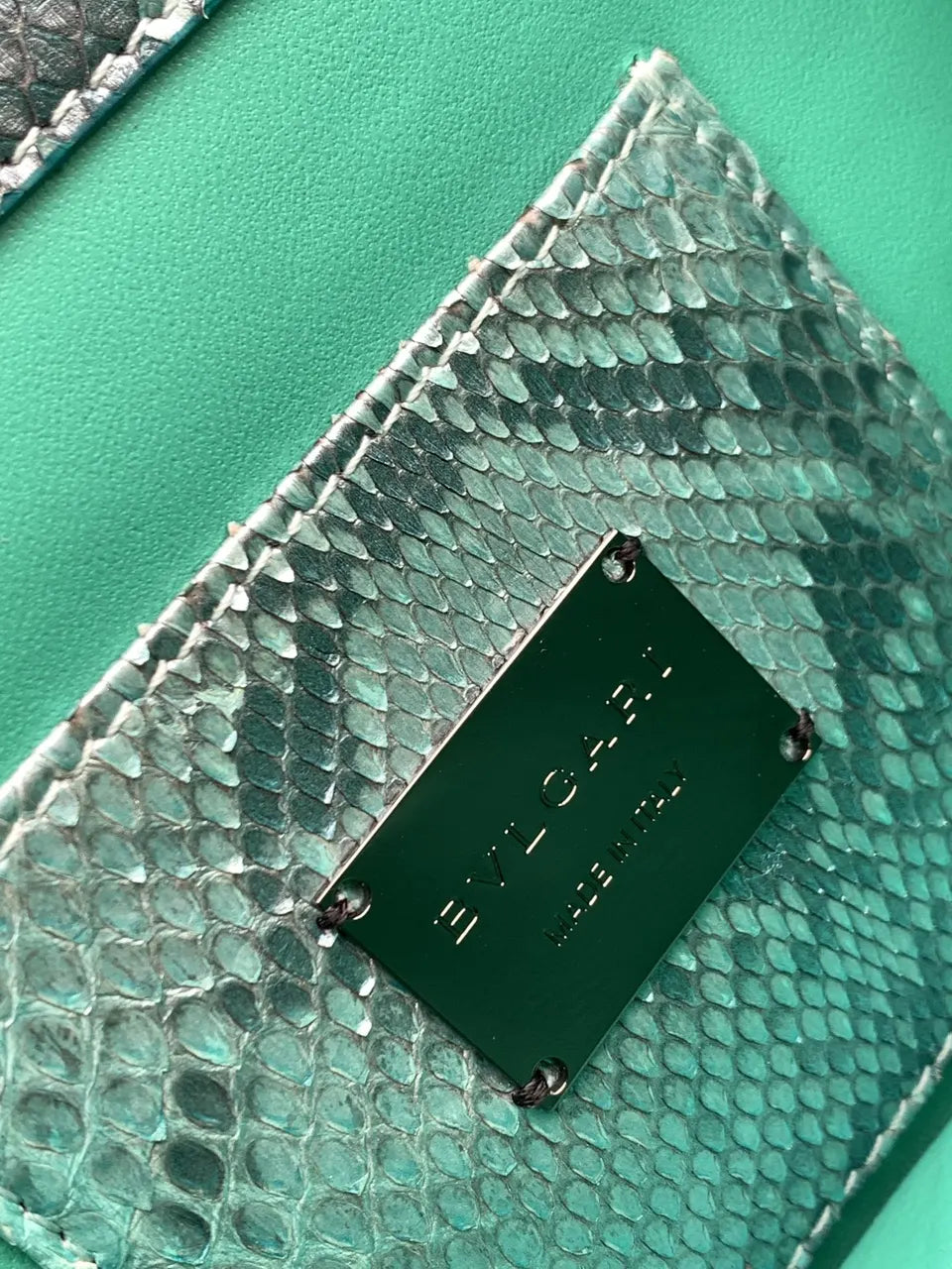Analeis Turquoise Python Bag - Hình 8