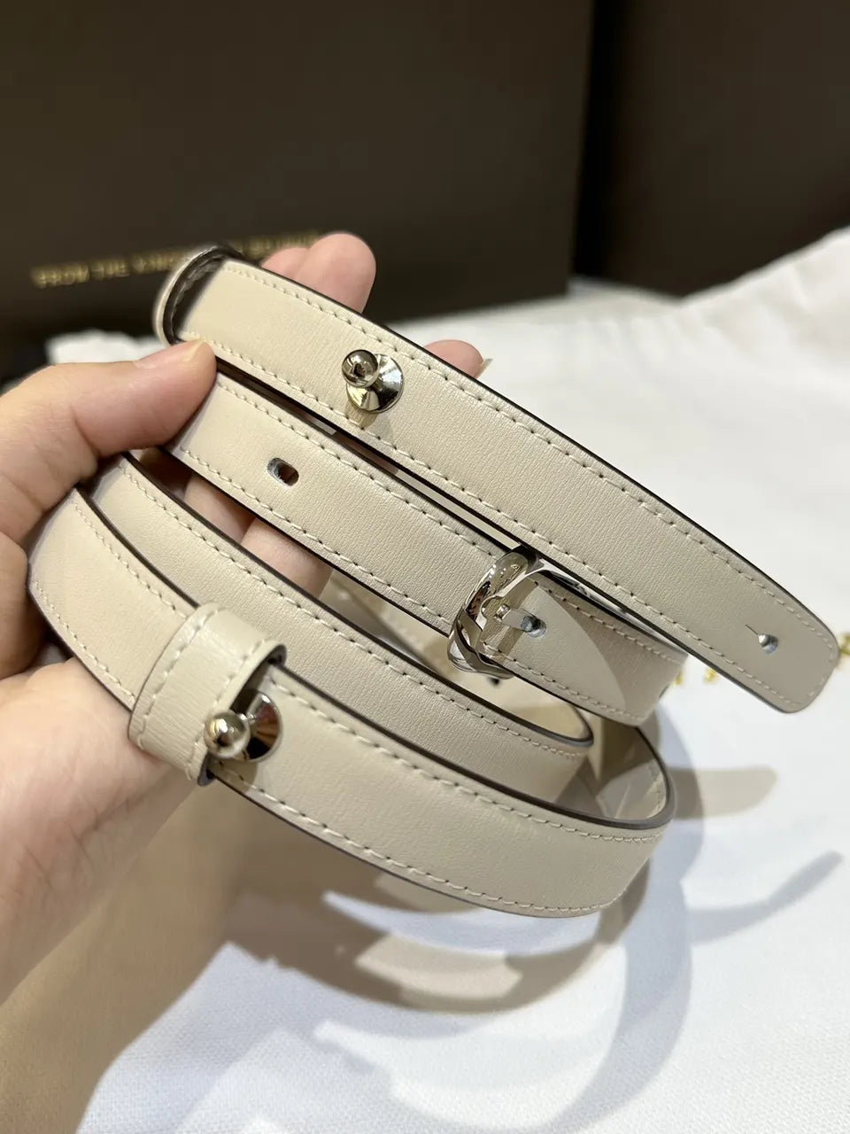 Delvaux Ivory Cool Box Mini - Hình 7