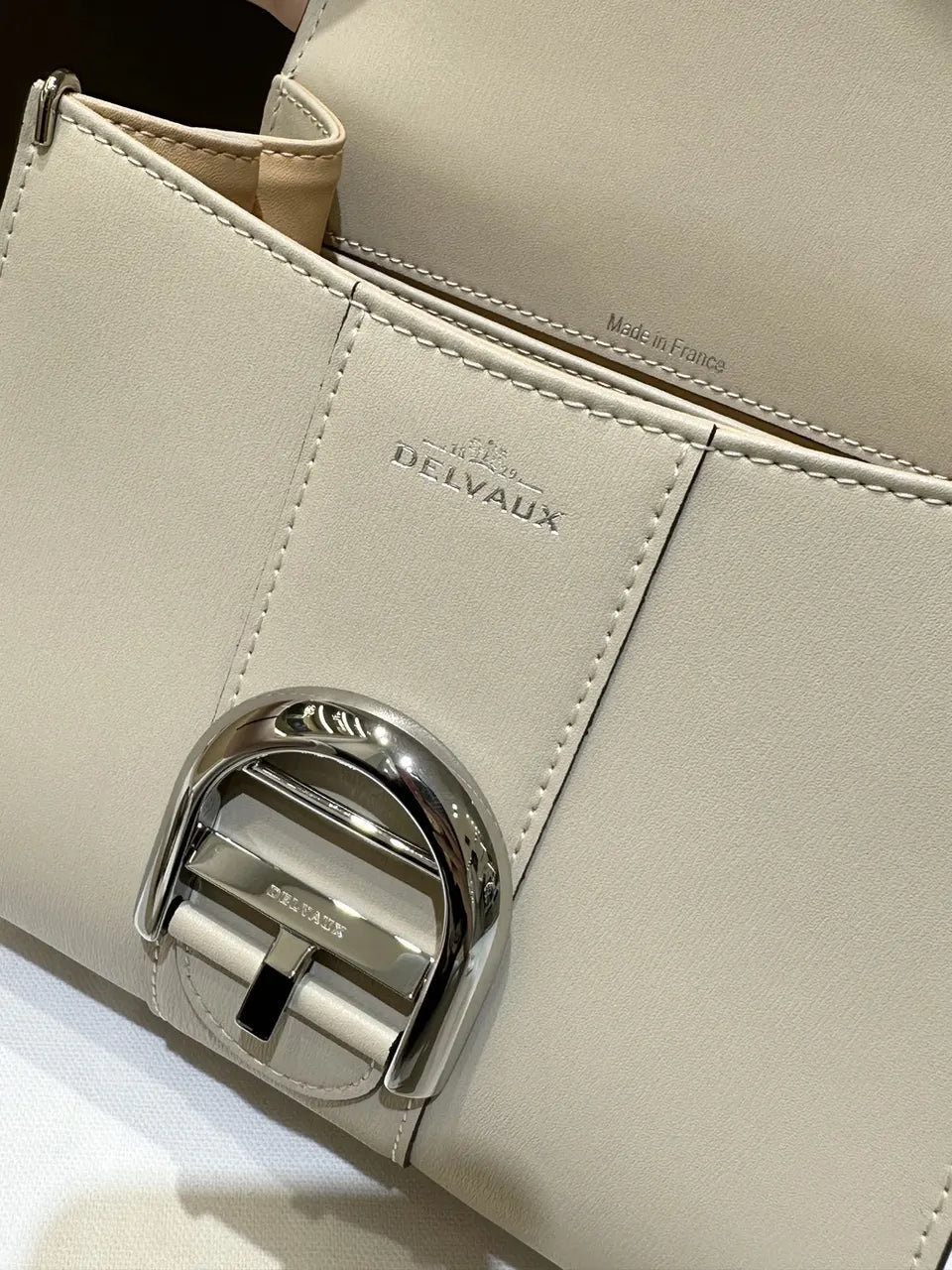 Delvaux Ivory Cool Box Mini - Hình 6