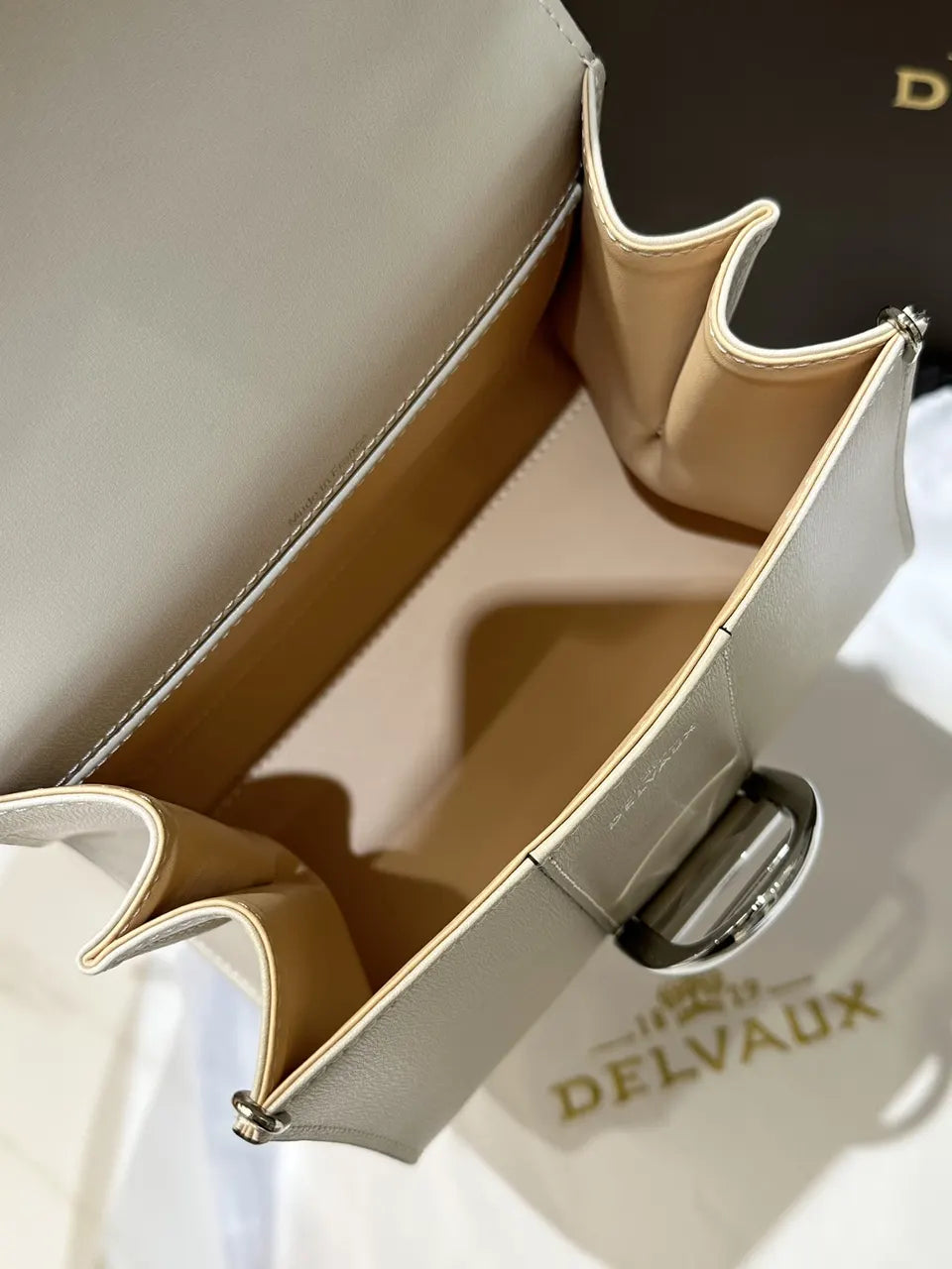Delvaux Ivory Cool Box Mini - Hình 5