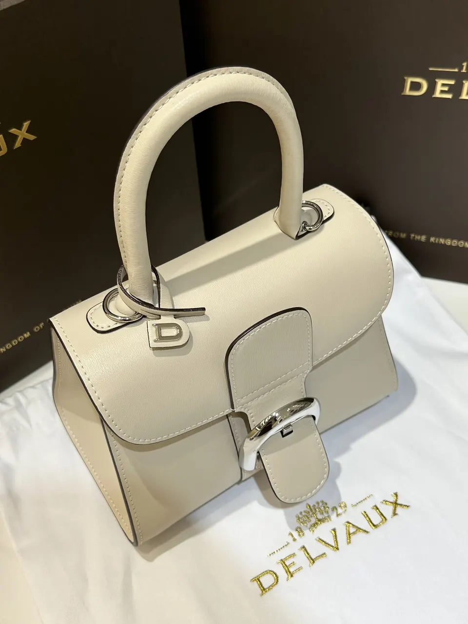 Delvaux Ivory Cool Box Mini - Hình 3