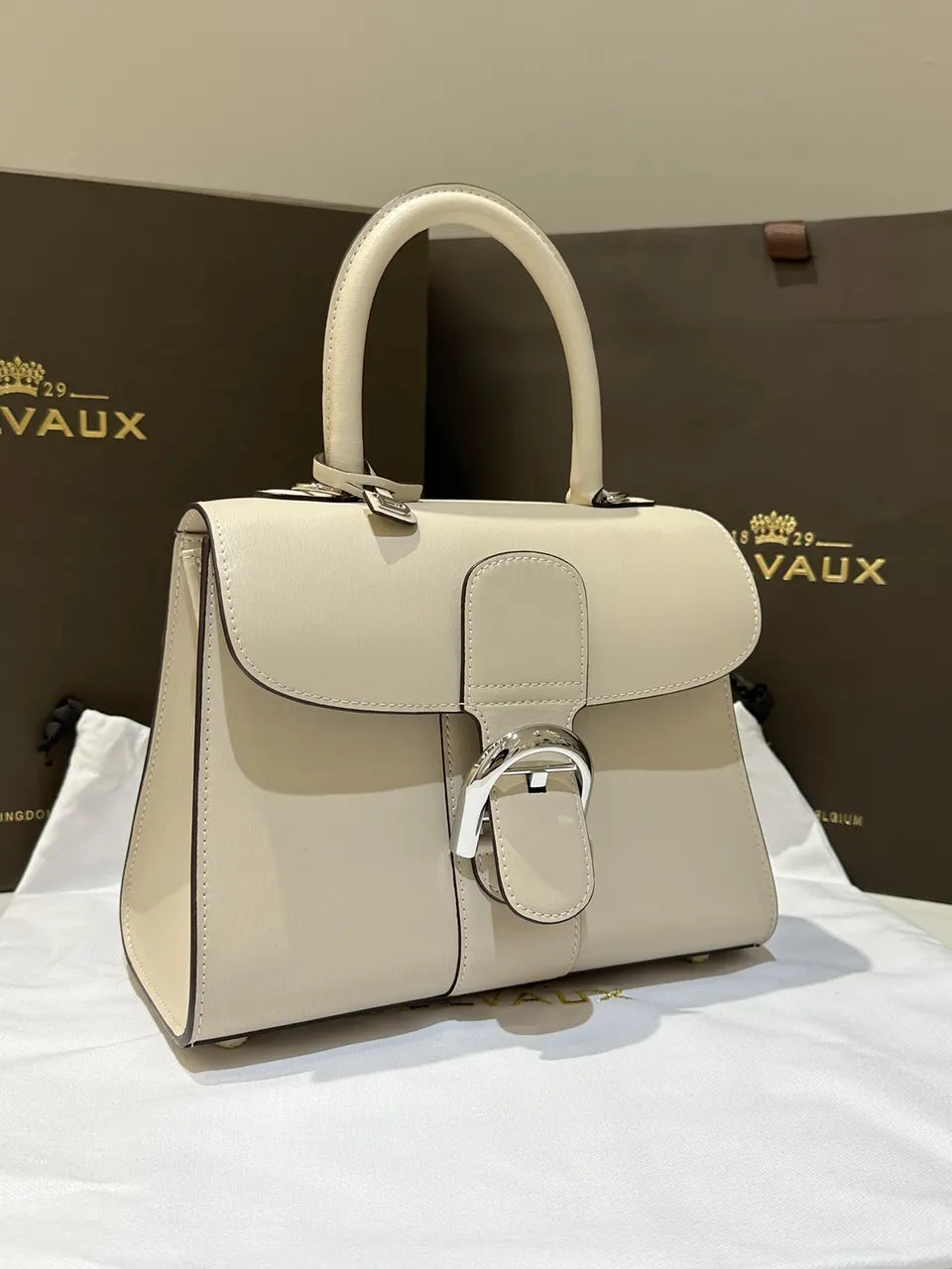 Delvaux Brillant Mini Ivory - Hình 2