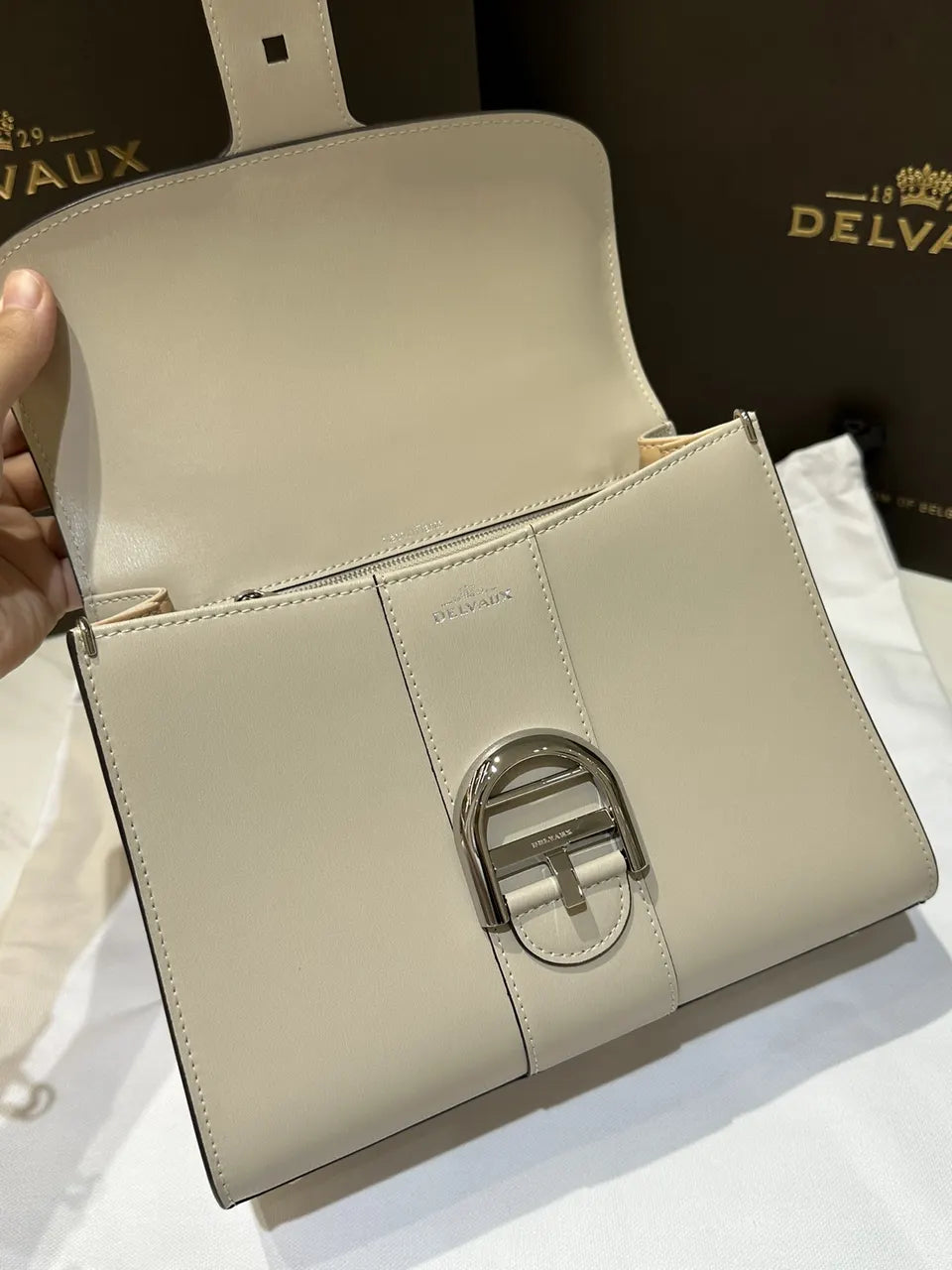 Delvaux Brillant Mini Ivory - Hình 5
