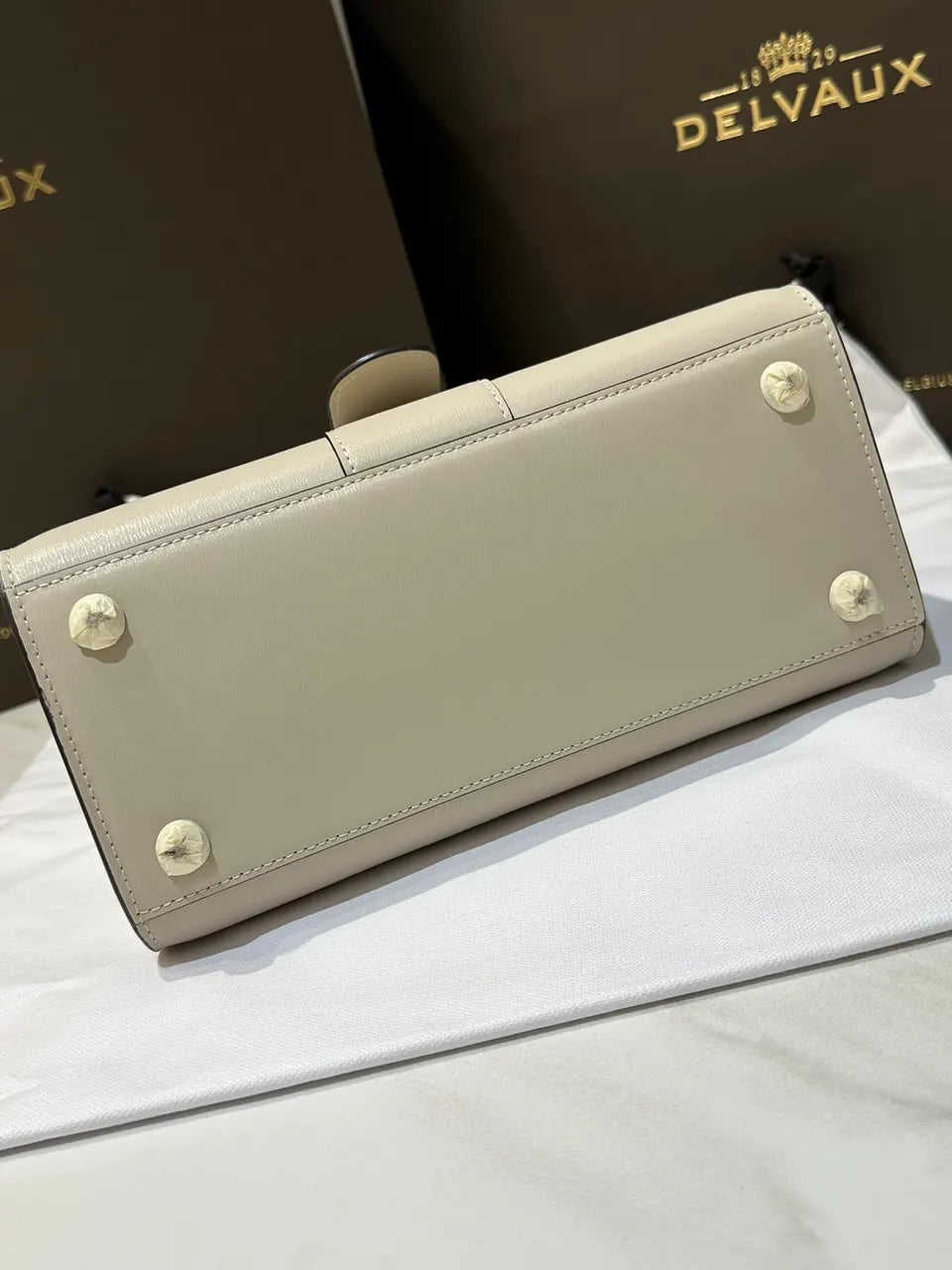 Delvaux Brillant Mini Ivory - Hình 9