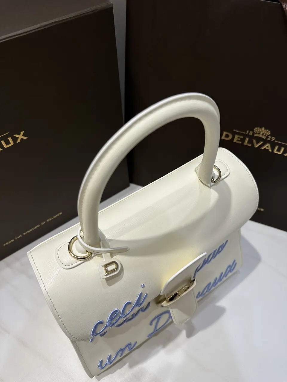 Delvaux Ivory Ceci N'est Pas - Hình 4