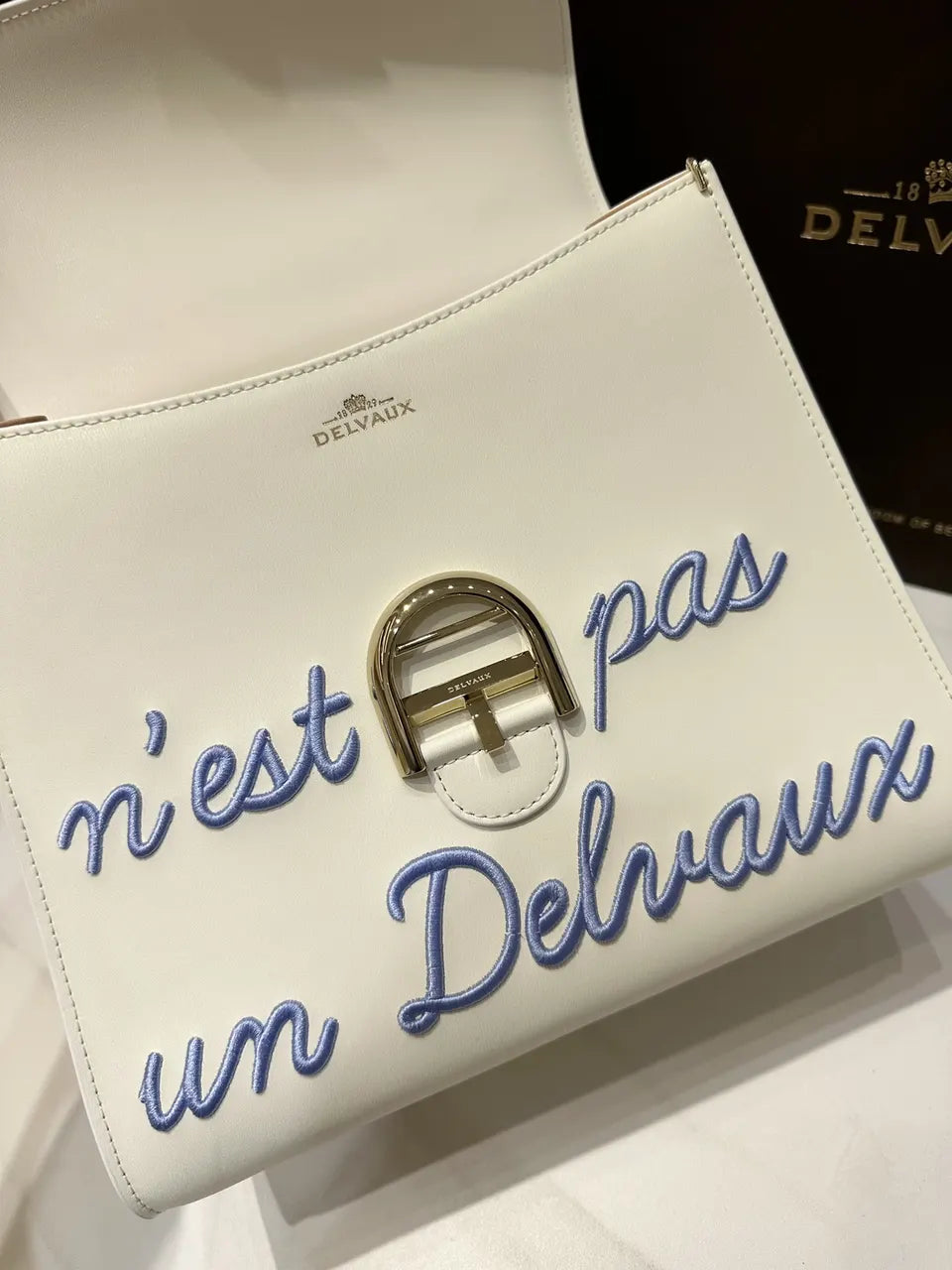 Delvaux Ivory Ceci N'est Pas - Hình 5