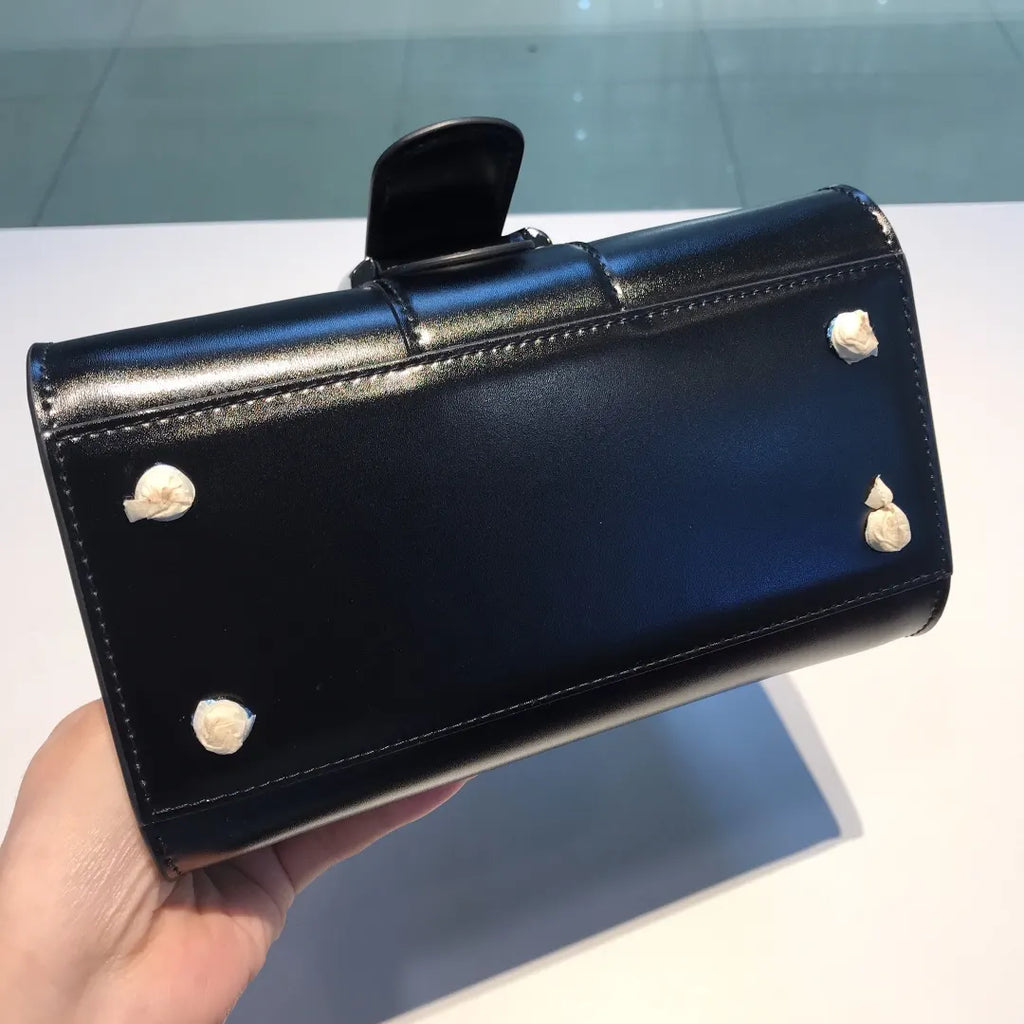 Delvaux Black Brilliant Mini - Hình 8