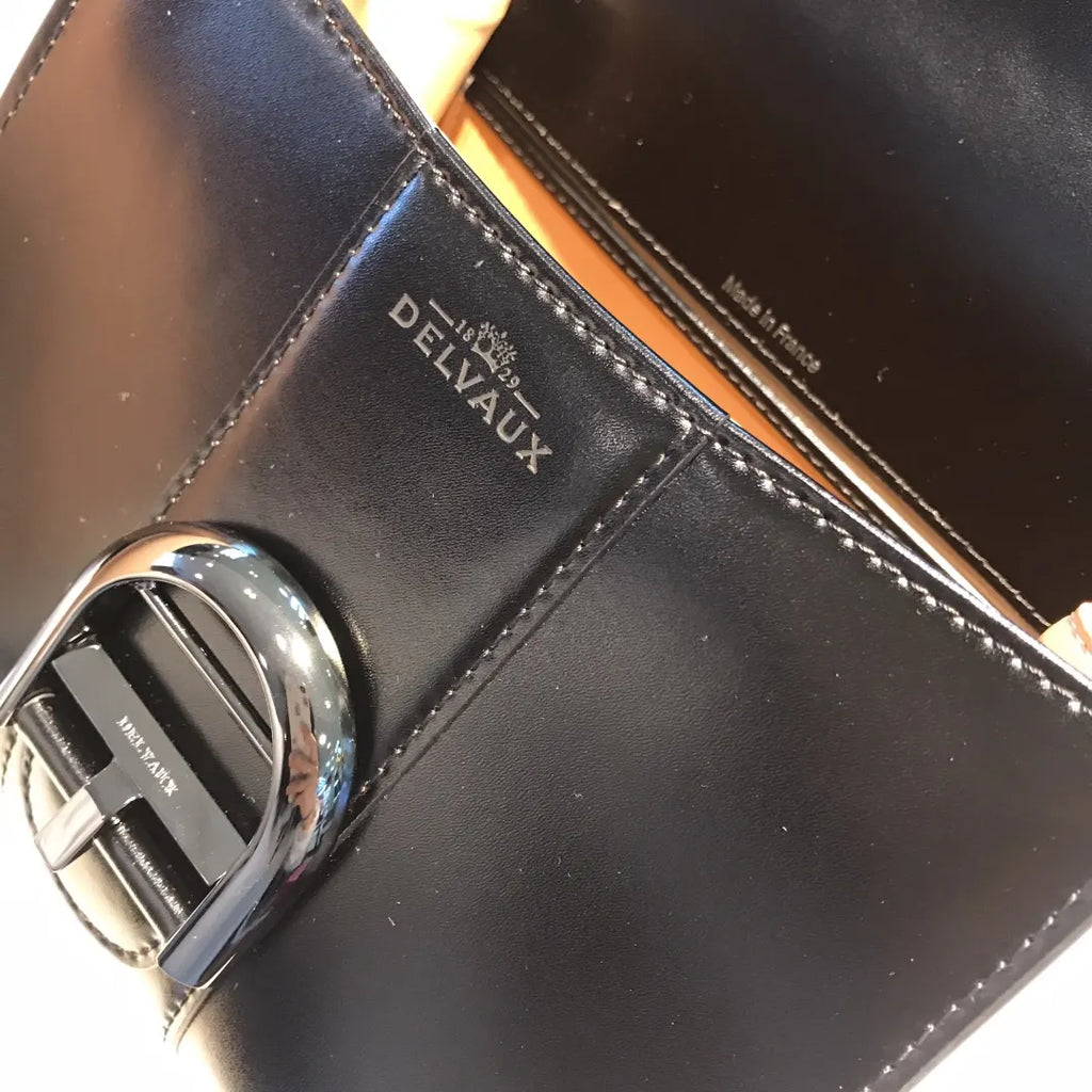 Delvaux Black Brilliant Mini - Hình 6