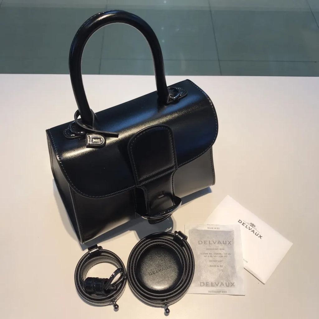 Delvaux Black Brilliant Mini - Hình 3
