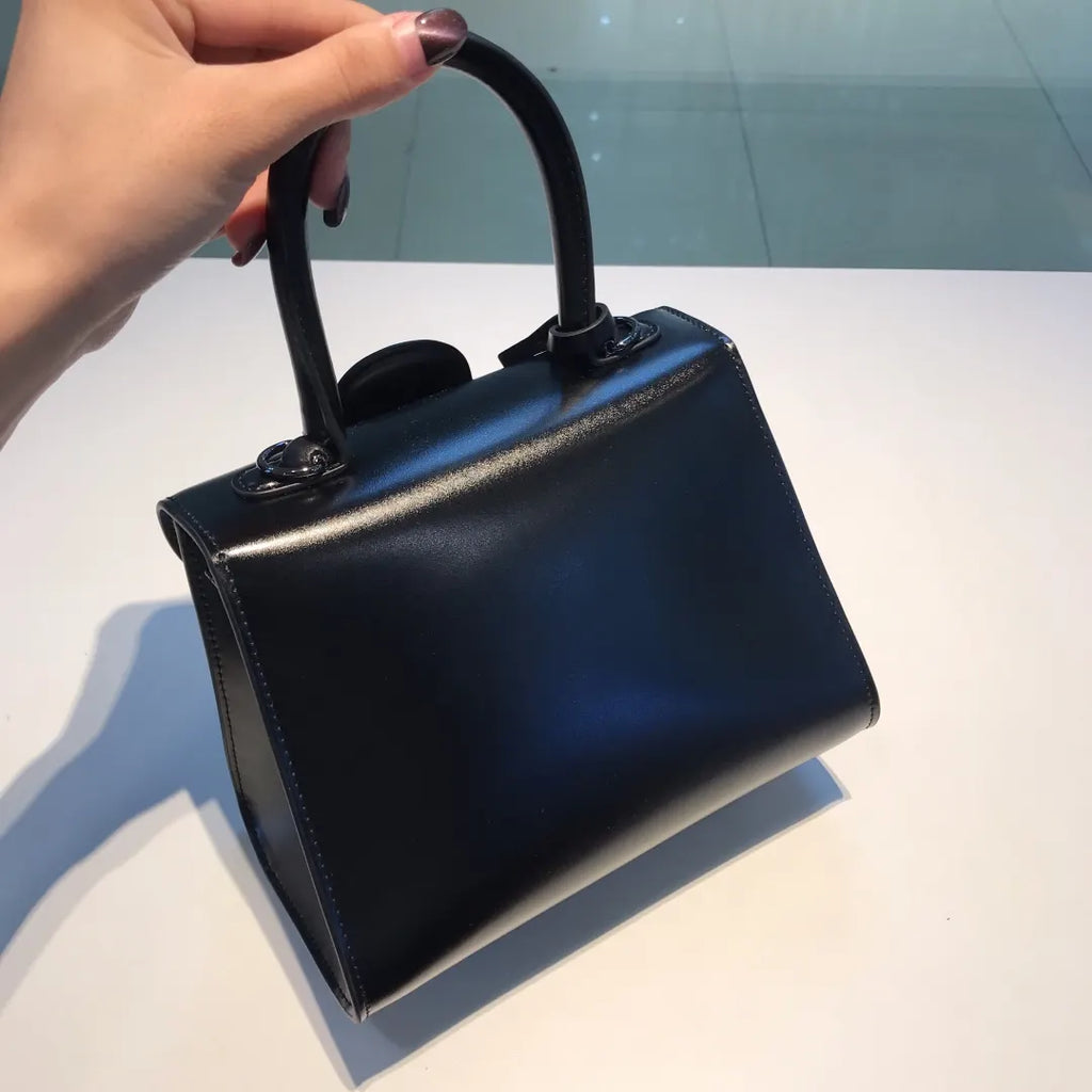 Delvaux Black Brilliant Mini - Hình 2