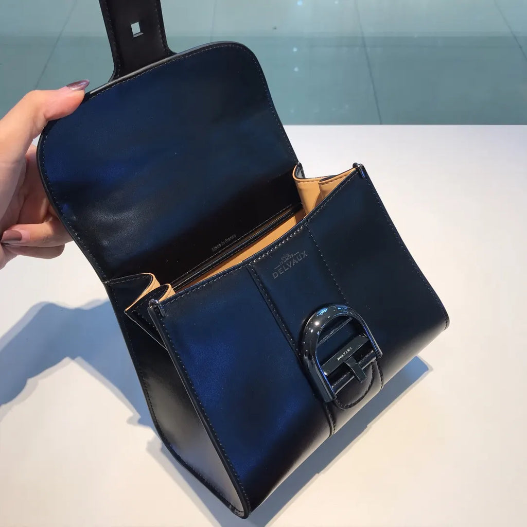 Delvaux Black Brilliant Mini - Hình 5