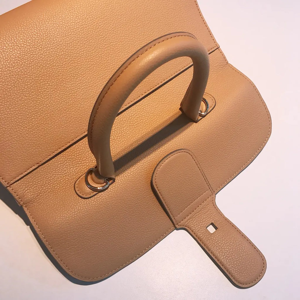 Delvaux Tan Brillant Bag - Hình 4