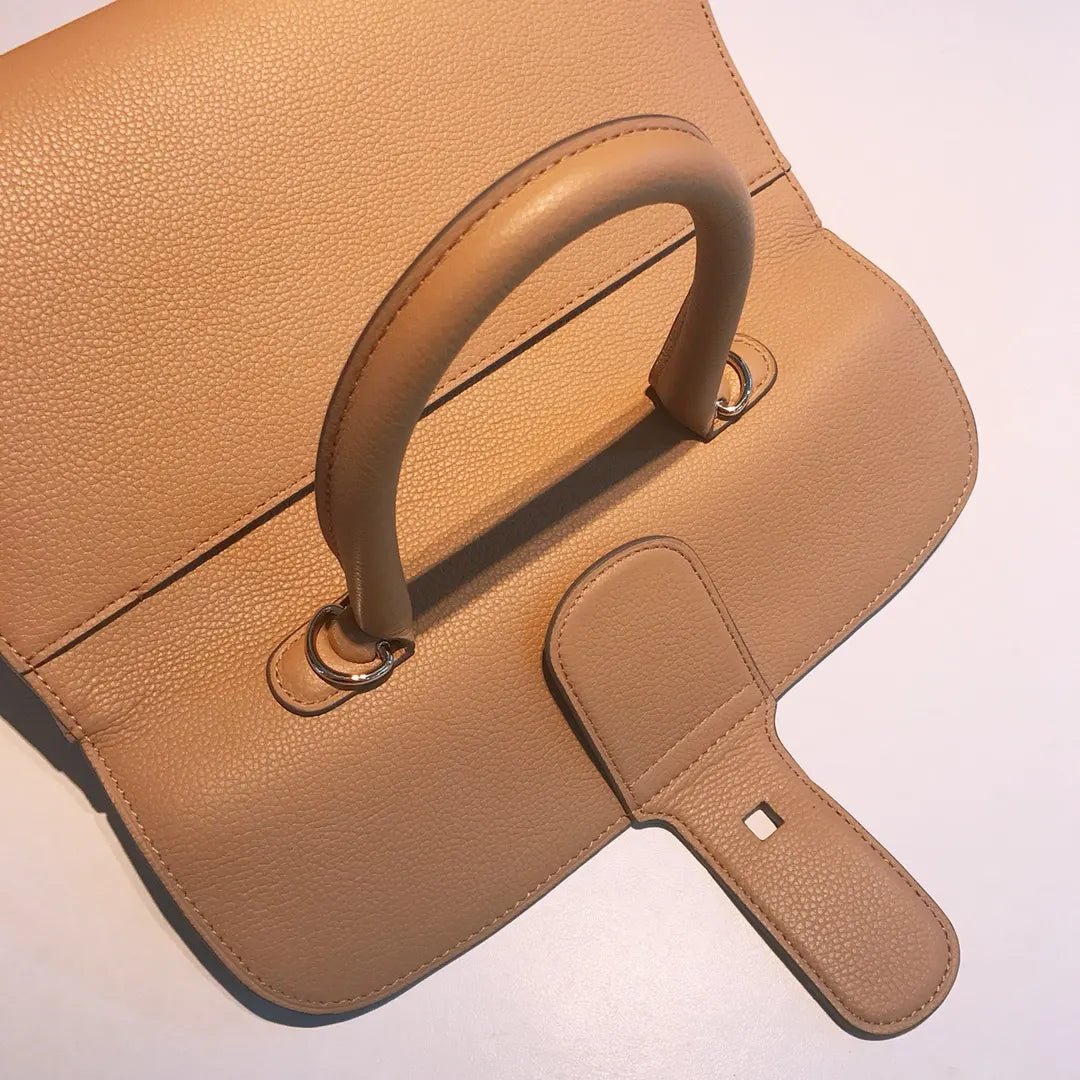 Delvaux Tan Brillant Bag - Hình 4