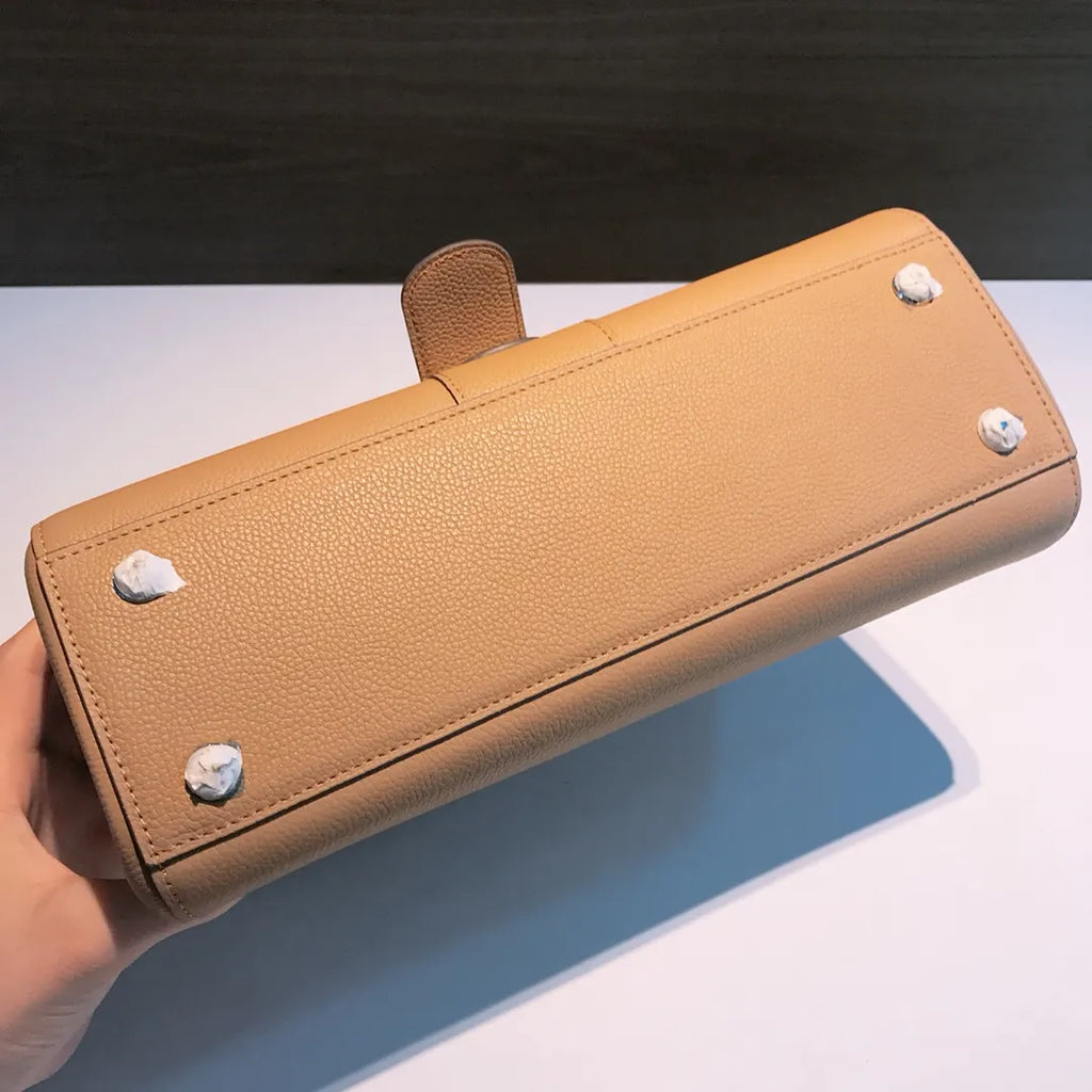 Delvaux Tan Brillant Bag - Hình 9
