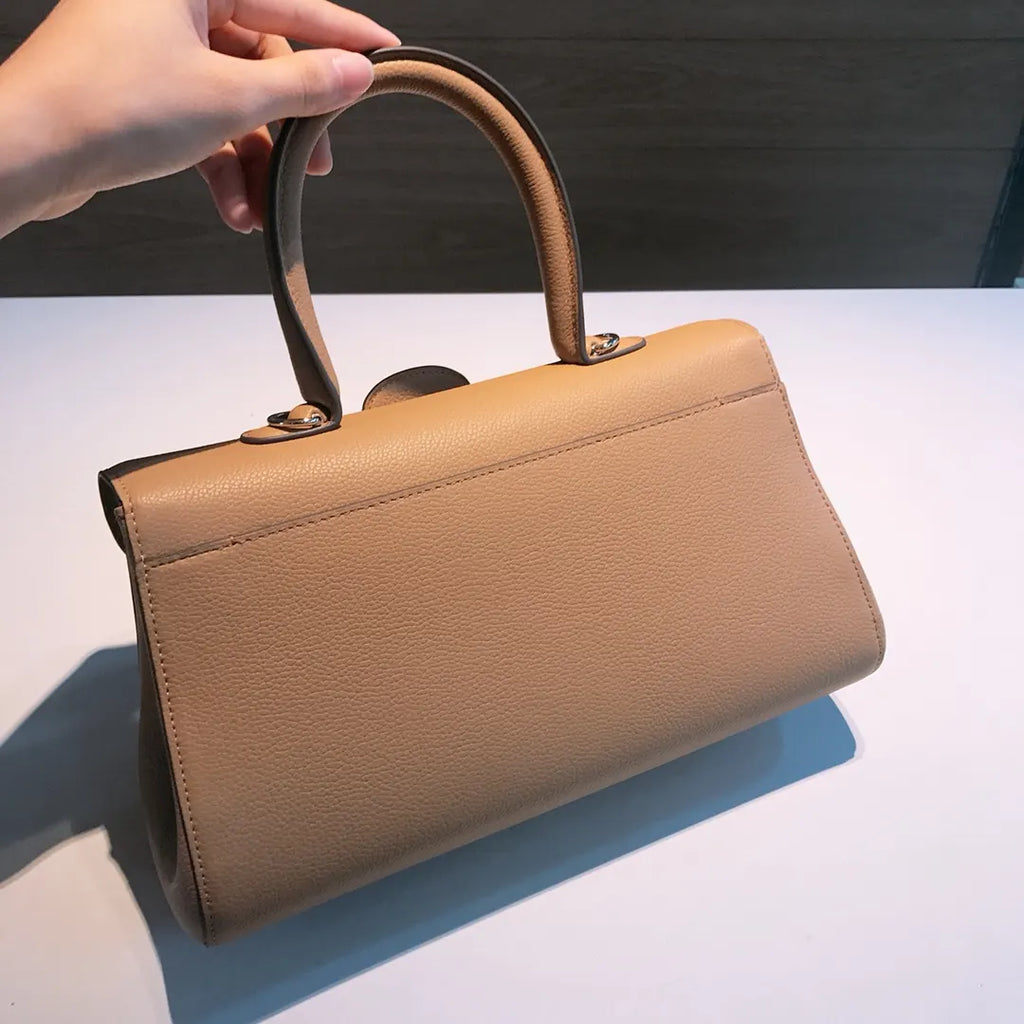 Delvaux Tan Brillant Bag - Hình 3