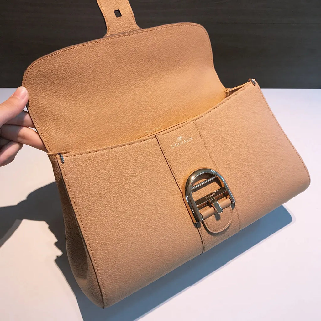 Delvaux Tan Brillant Bag - Hình 6