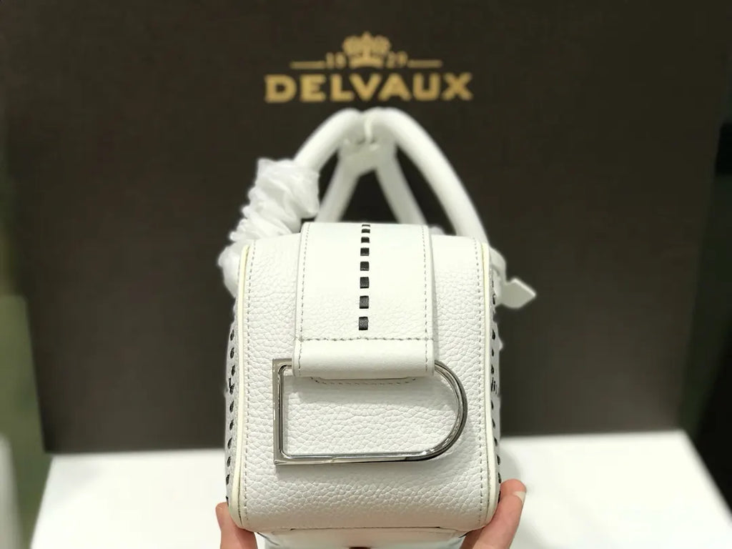 Delvaux White Stitching Pin Mini - Hình 5