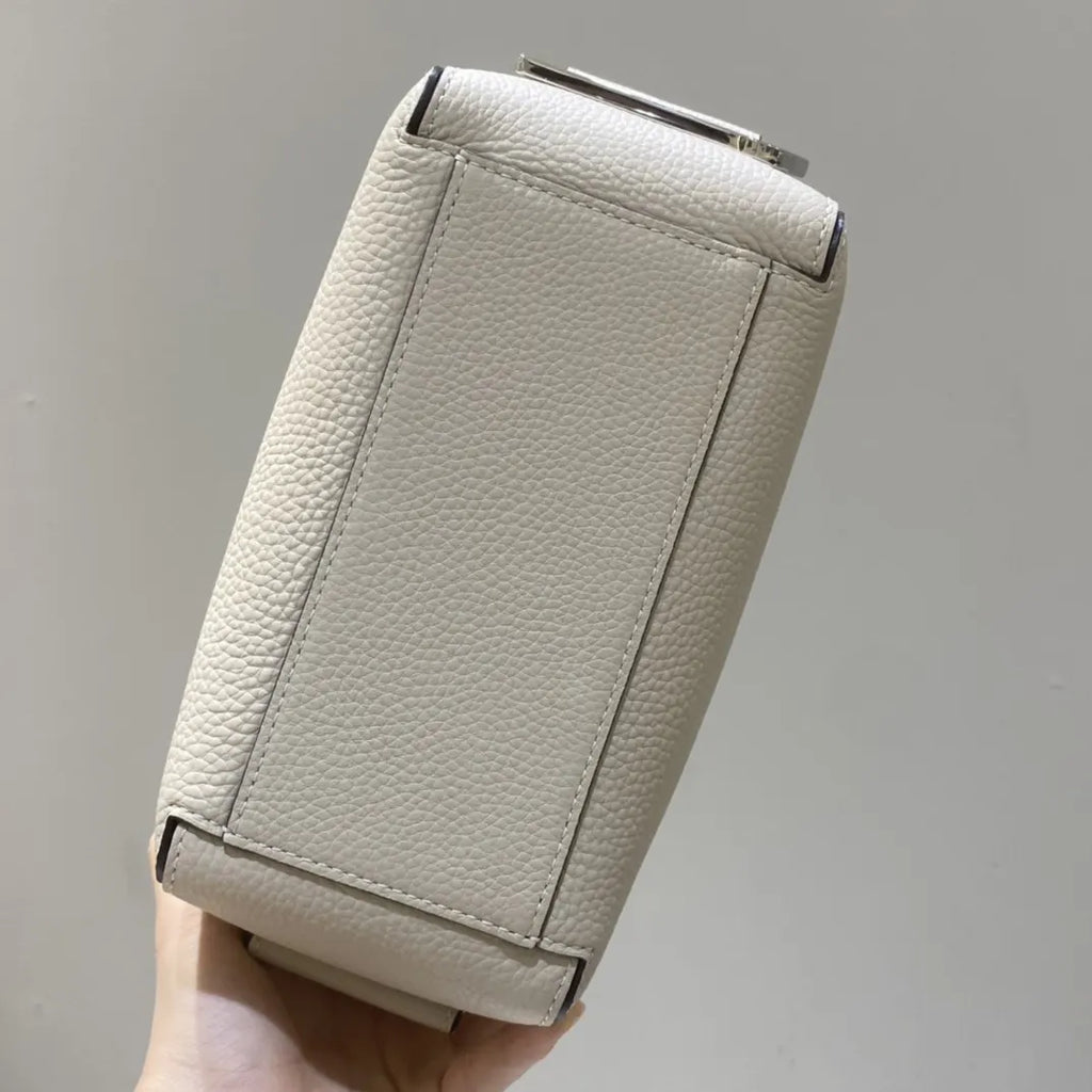 Delvaux Ivory Brillant Mini - Hình 9