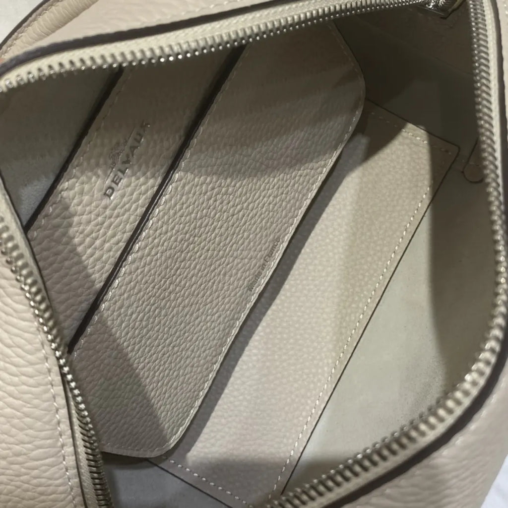 Delvaux Ivory Brillant Mini - Hình 8
