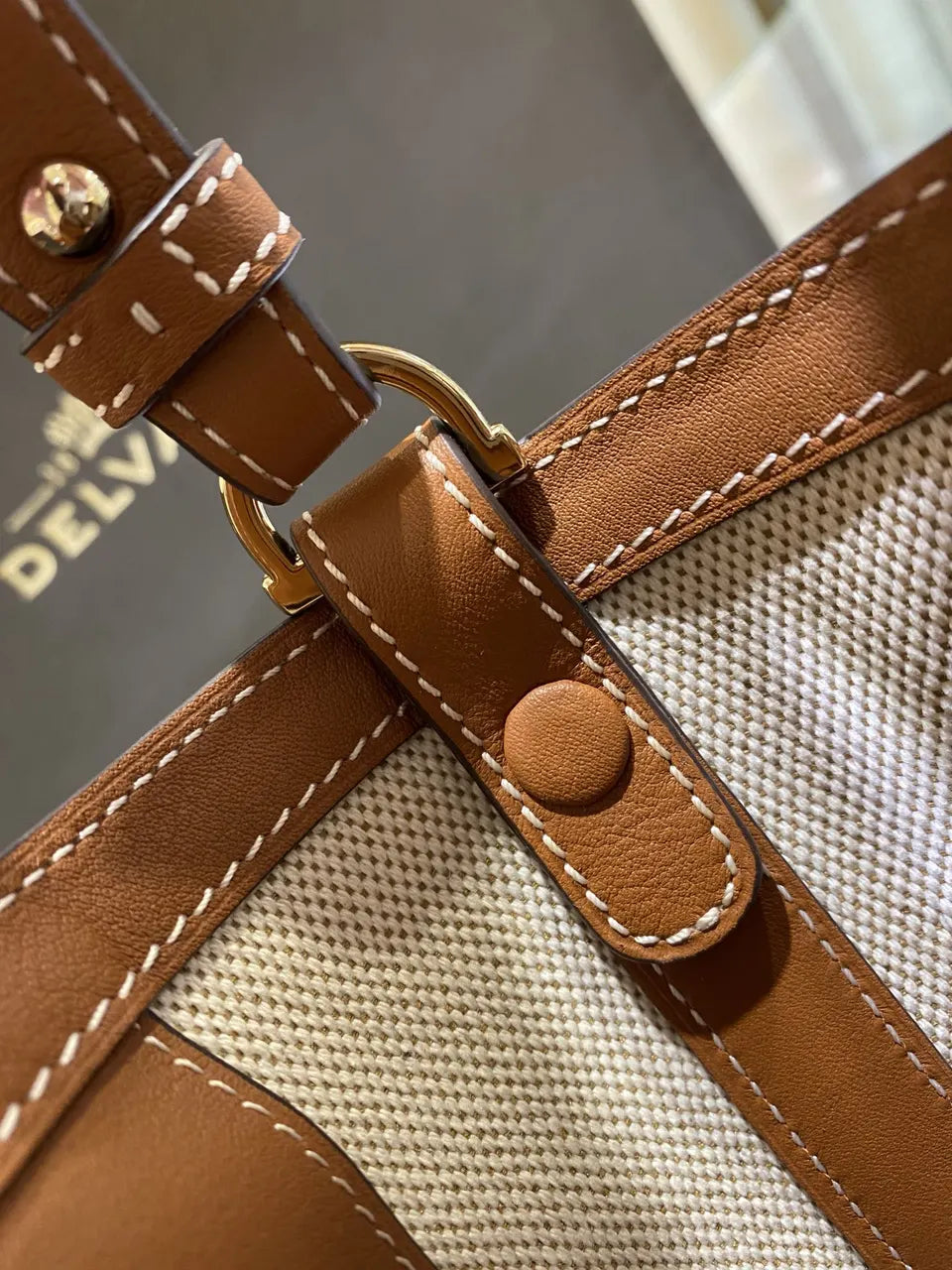 Delvaux Canvas Tan Pin Bucket - Hình 6