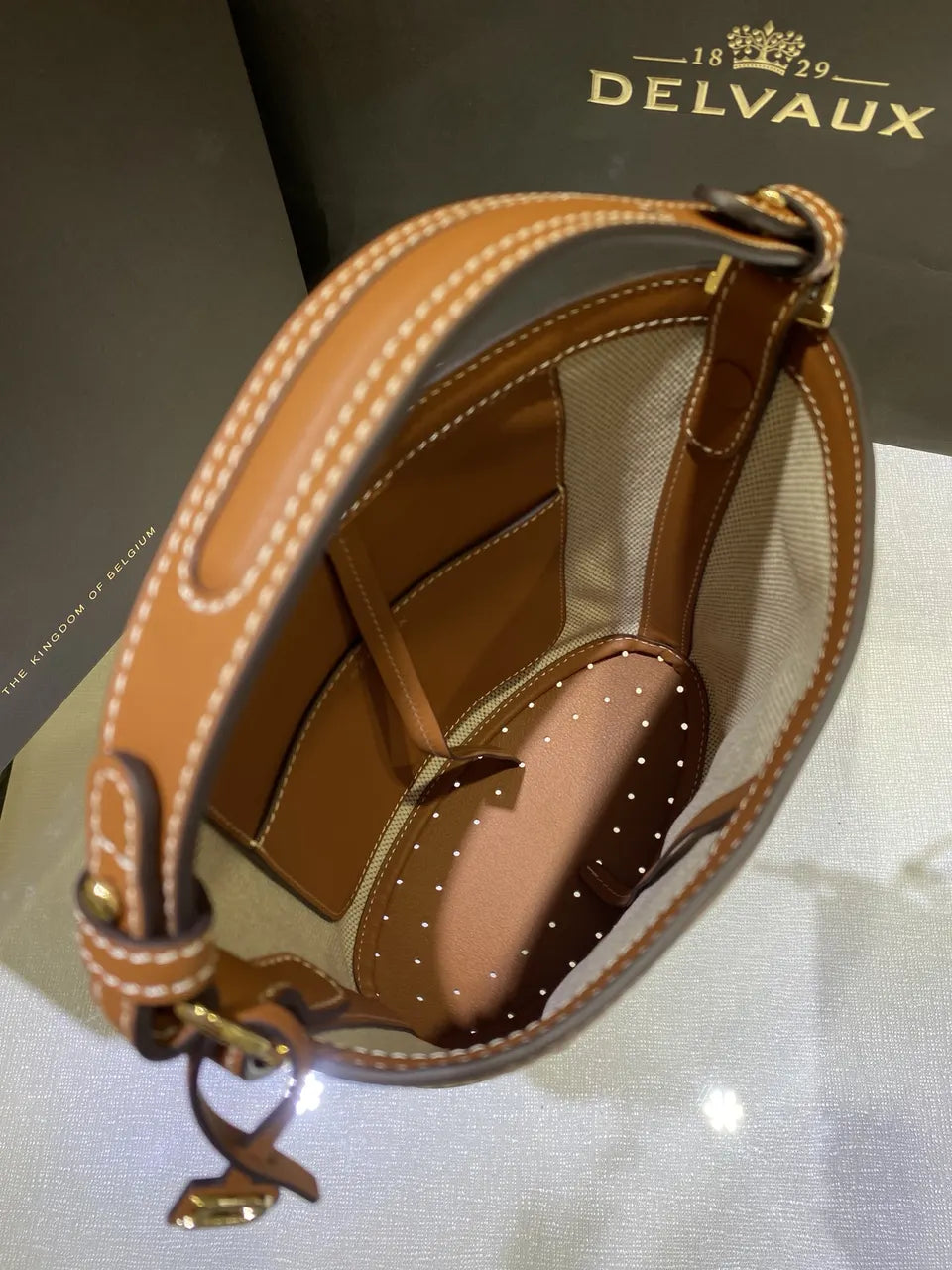 Delvaux Canvas Tan Pin Bucket - Hình 5