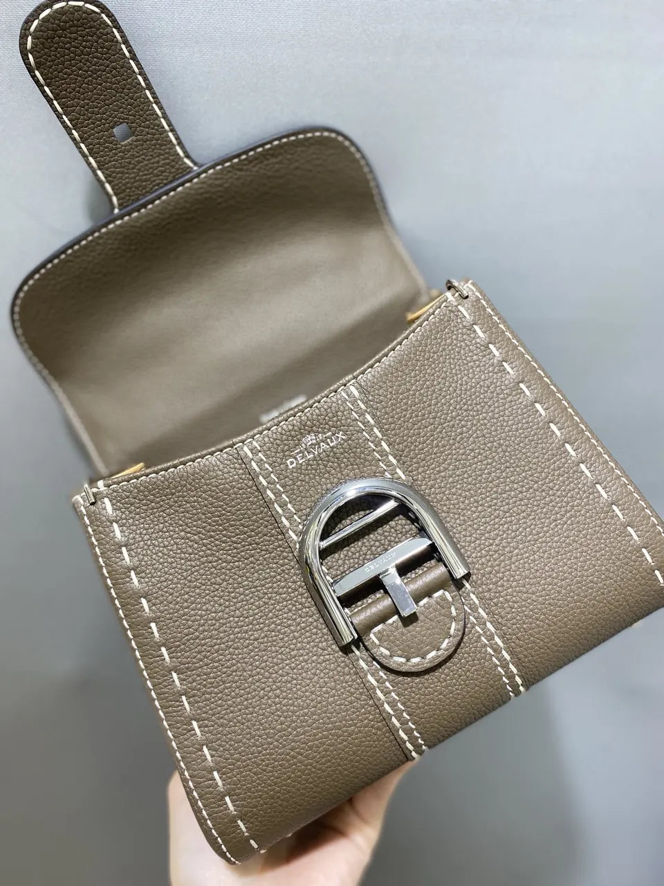 Delvaux Tourterelle Brillant Mini - Hình 5