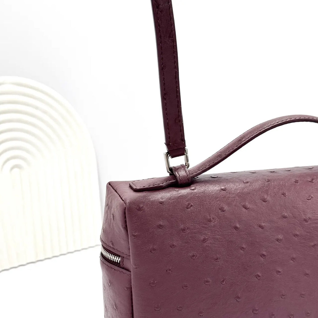 Loro Piana Plum Ostrich Vanity - Hình 8
