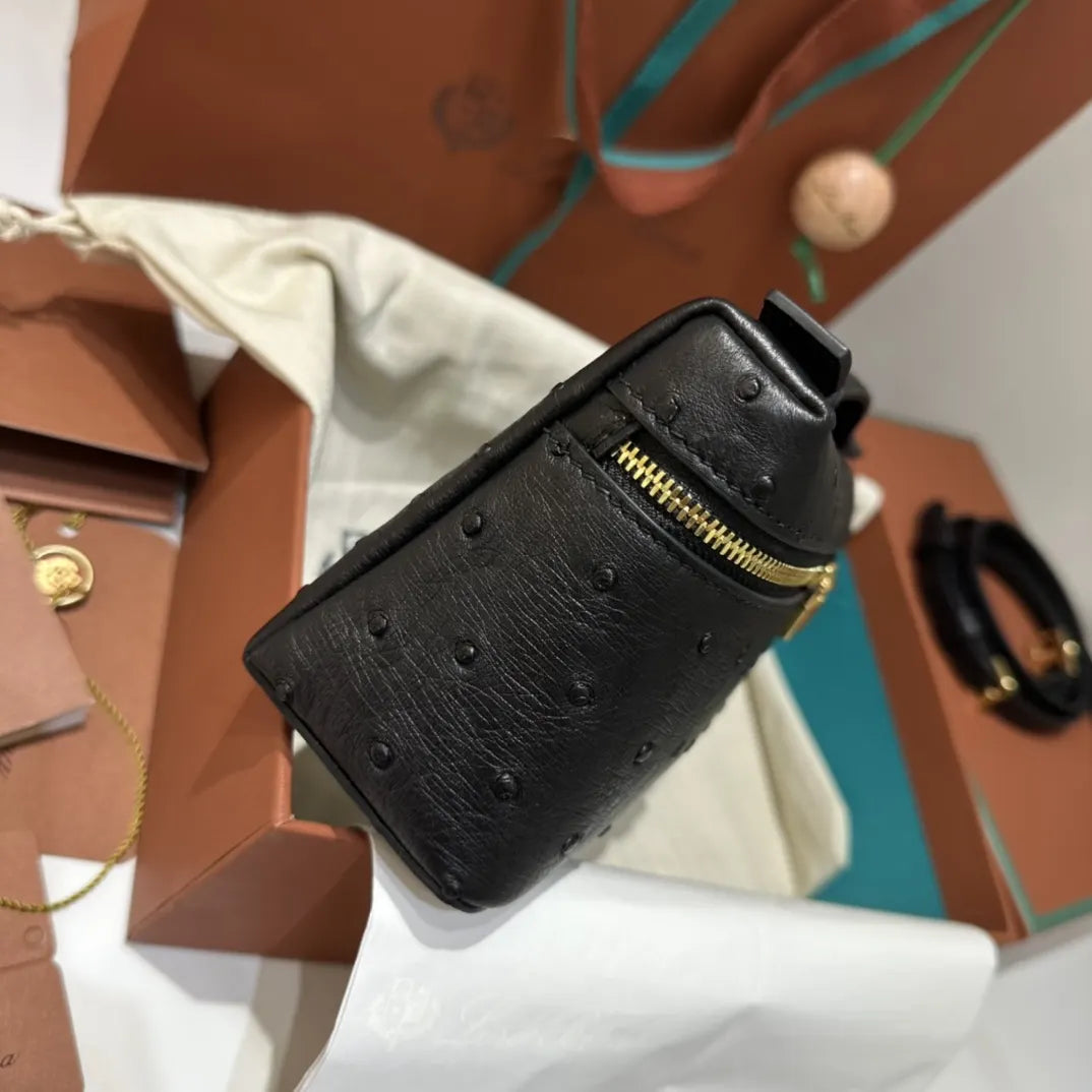 gold Loro Piana Black Ostrich Vanity - Hình 5