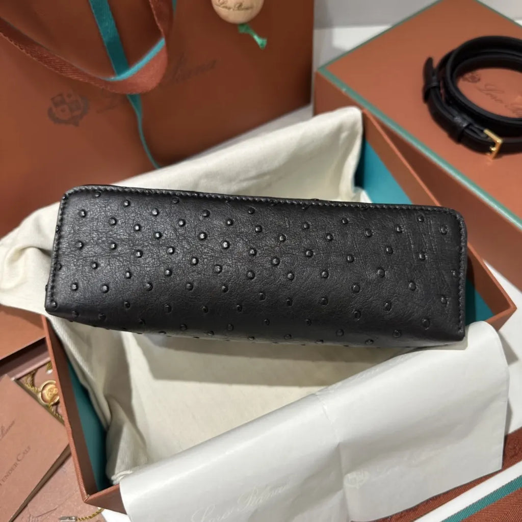gold Loro Piana Black Ostrich Vanity - Hình 9