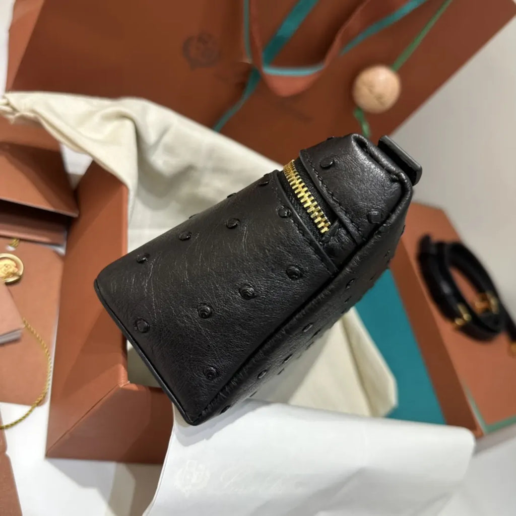 gold Loro Piana Black Ostrich Vanity - Hình 6