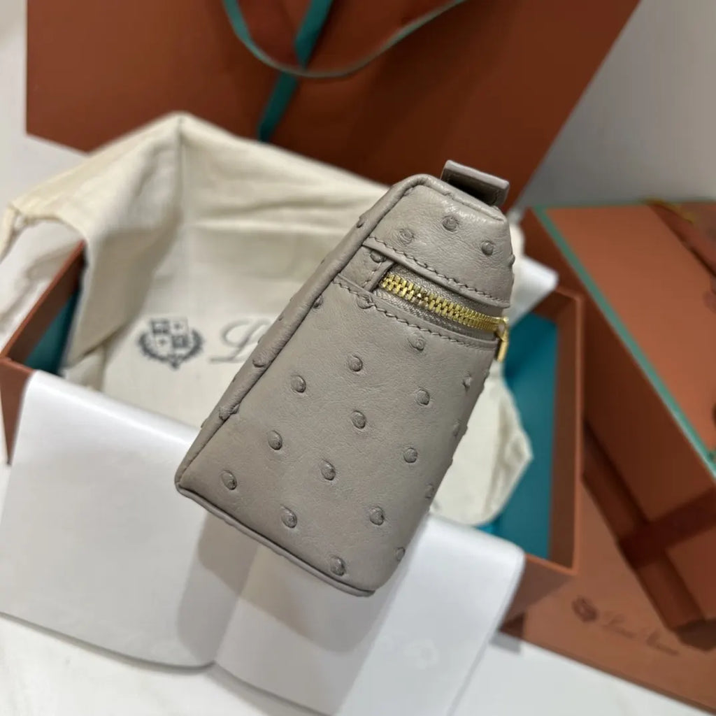 handle Loro Piana Grey Ostrich Vanity - Hình 5