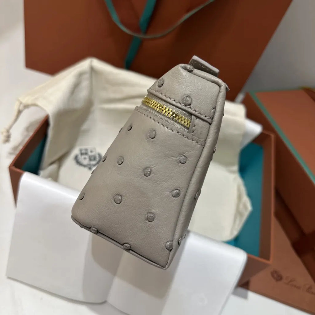 handle Loro Piana Grey Ostrich Vanity - Hình 6