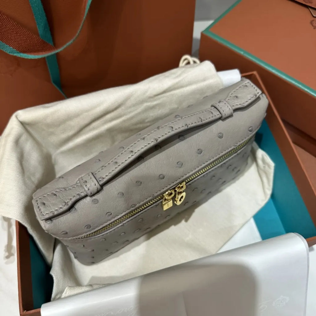 handle Loro Piana Grey Ostrich Vanity - Hình 4