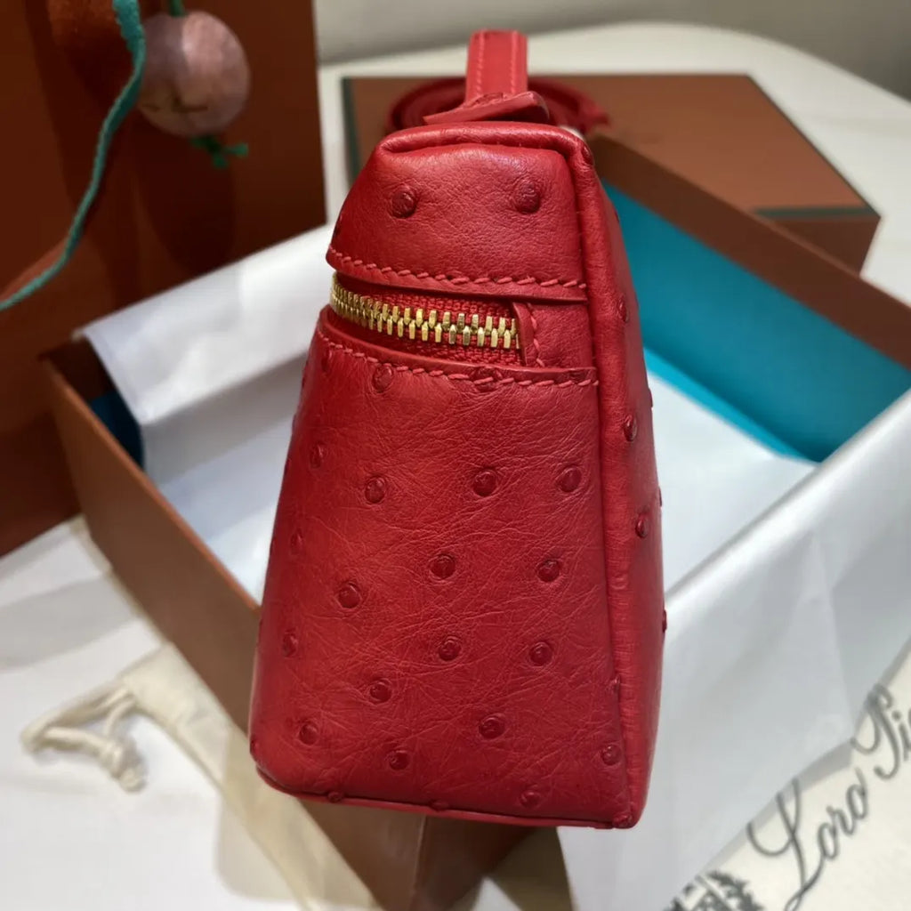 luxurious Loro Piana Scarlet Ostrich Vanity - Hình 5