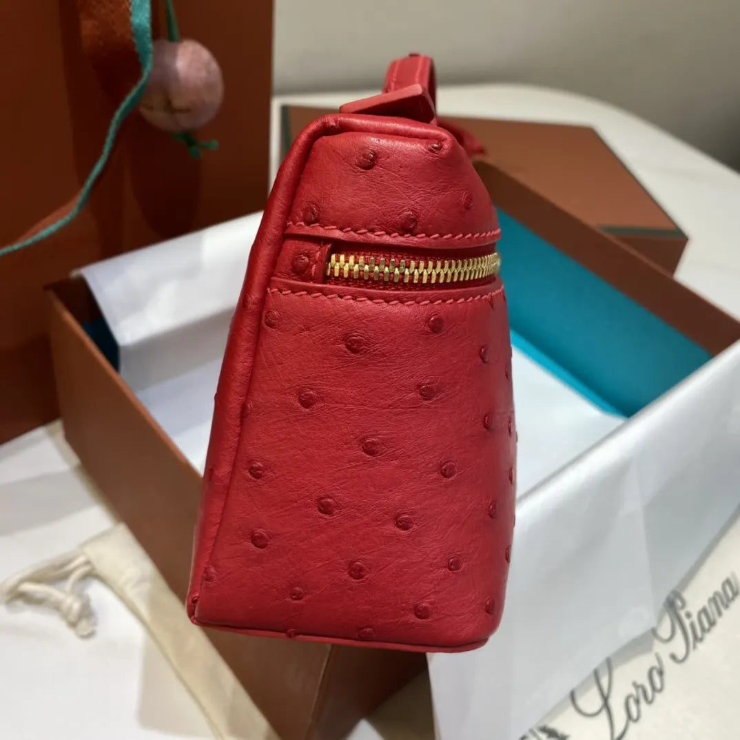 luxurious Loro Piana Scarlet Ostrich Vanity - Hình 4