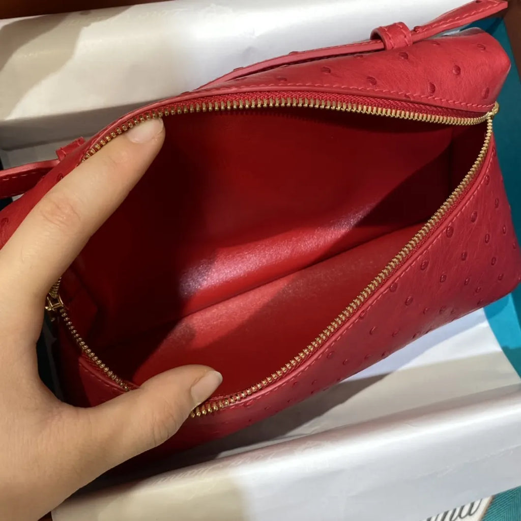 luxurious Loro Piana Scarlet Ostrich Vanity - Hình 8