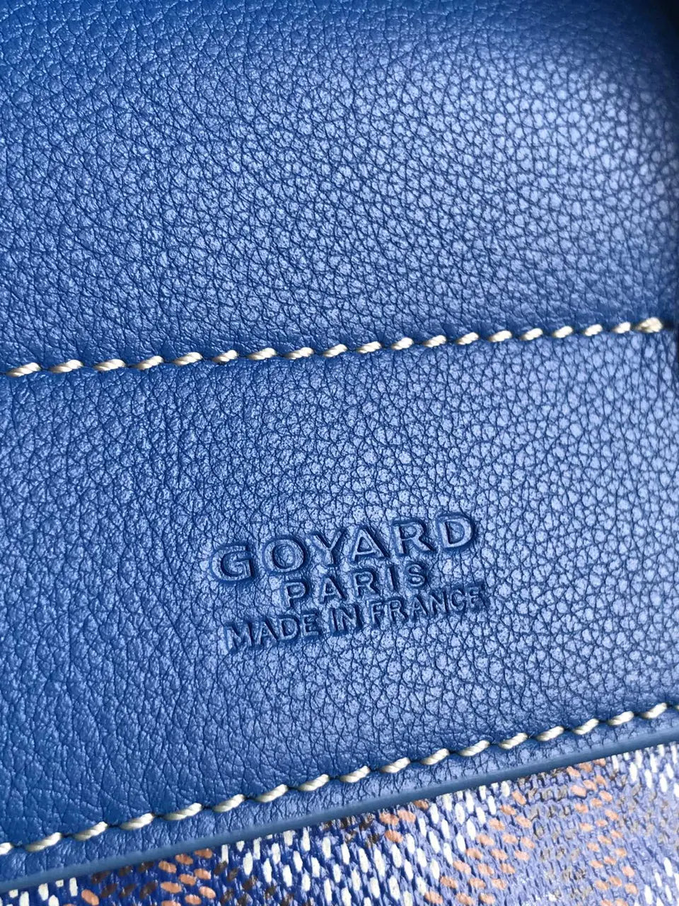 Goyard Royal Blue Alpin Backpack - Hình 5