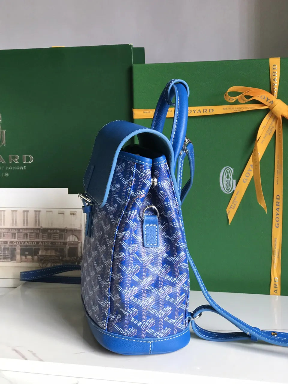 Goyard Royal Blue Alpin Backpack - Hình 2