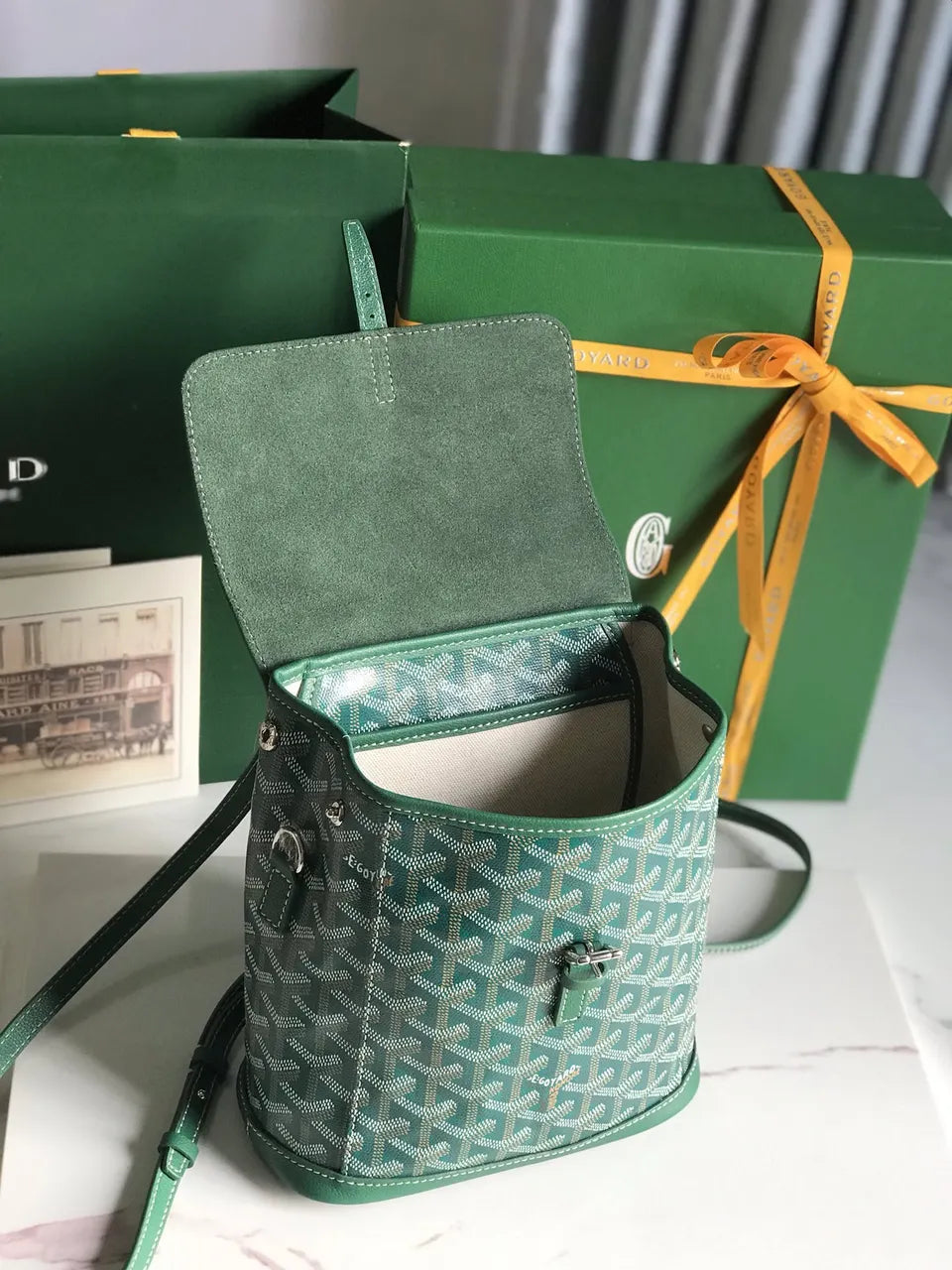 Goyard Vert Dublin Backpack - Hình 8