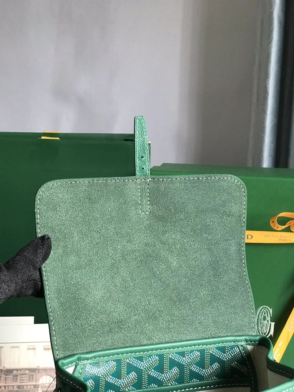 Goyard Vert Dublin Backpack - Hình 7