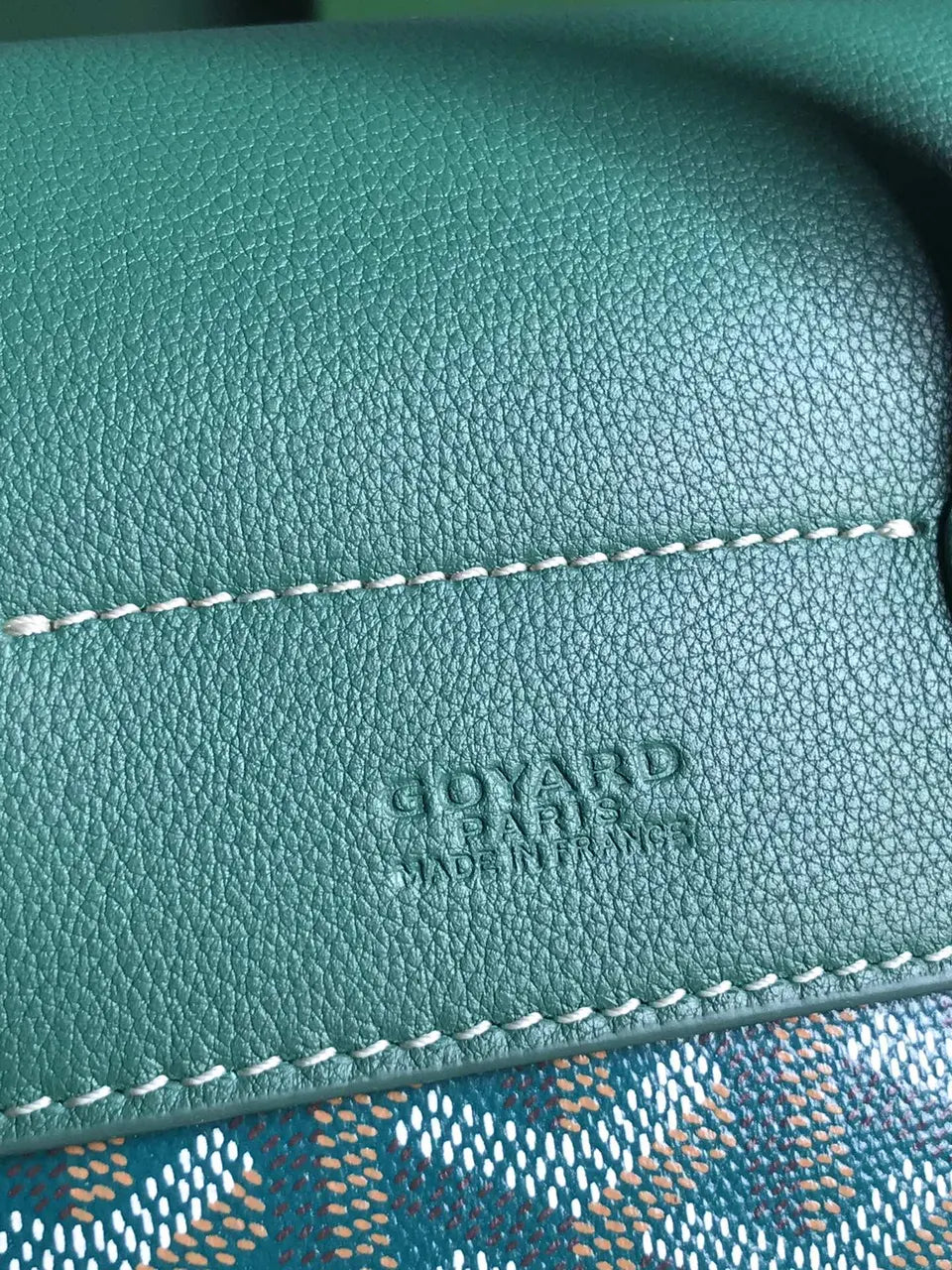 Goyard Vert Dublin Backpack - Hình 5