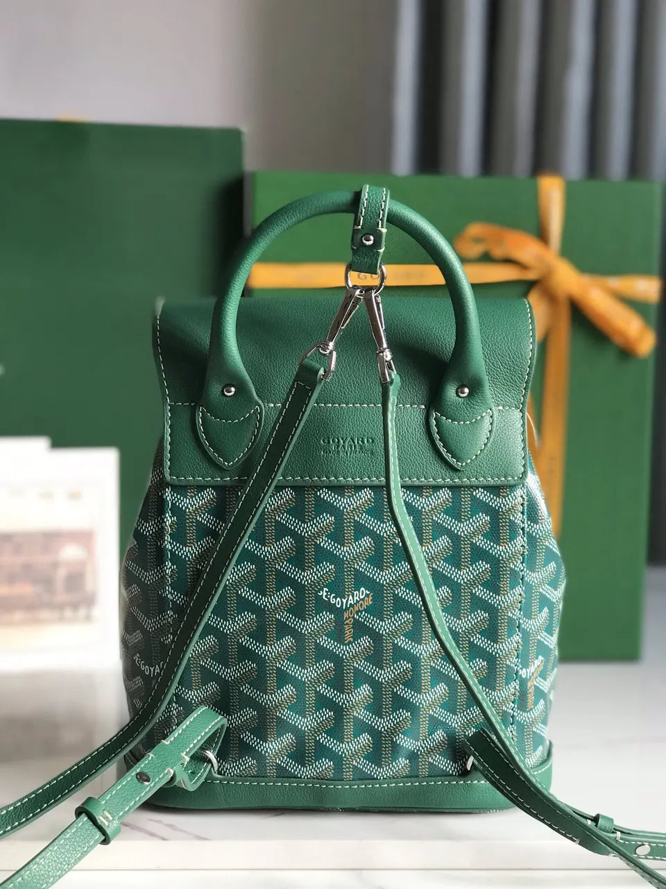 Goyard Vert Dublin Backpack - Hình 3