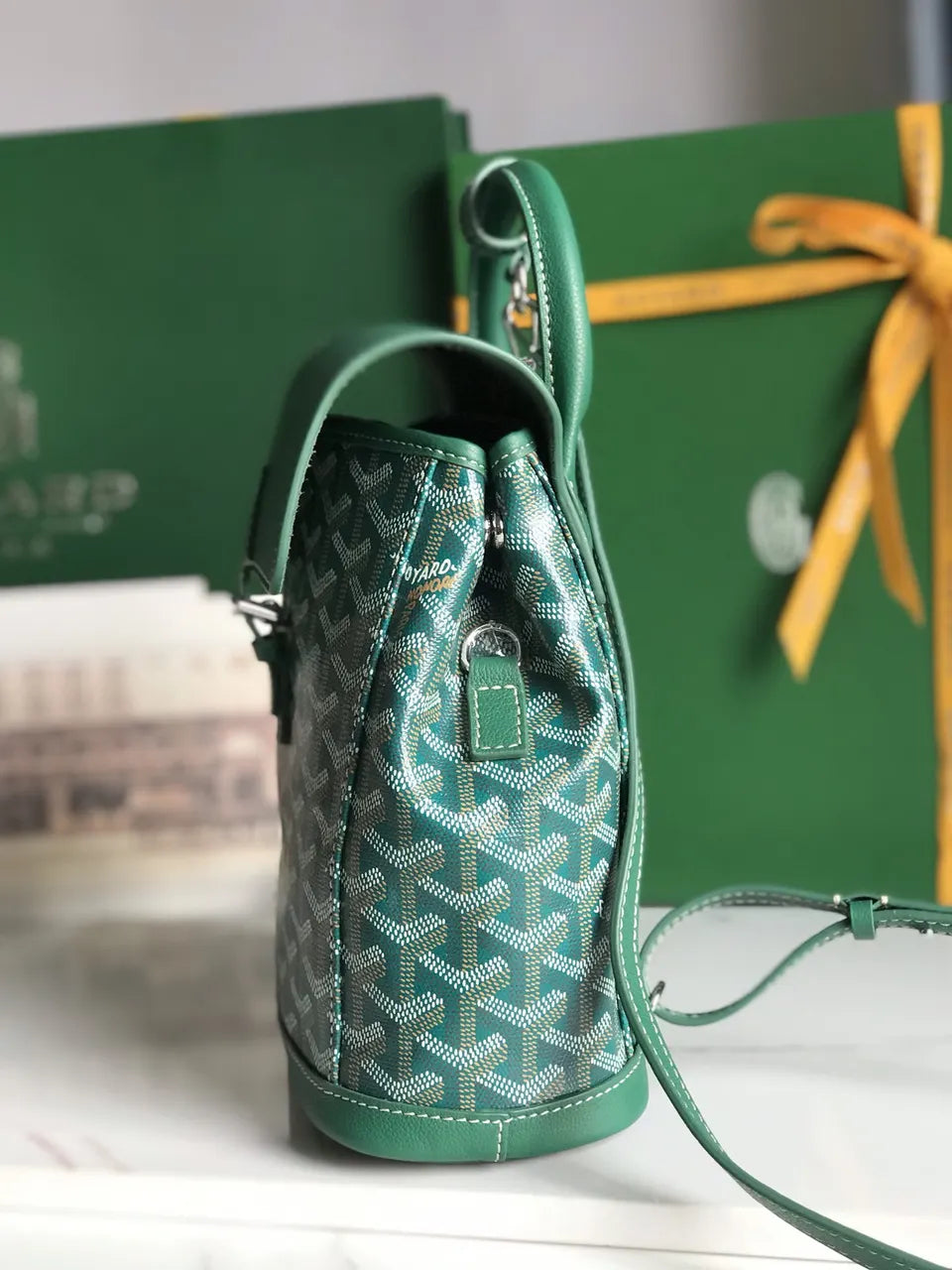 Goyard Vert Dublin Backpack - Hình 2