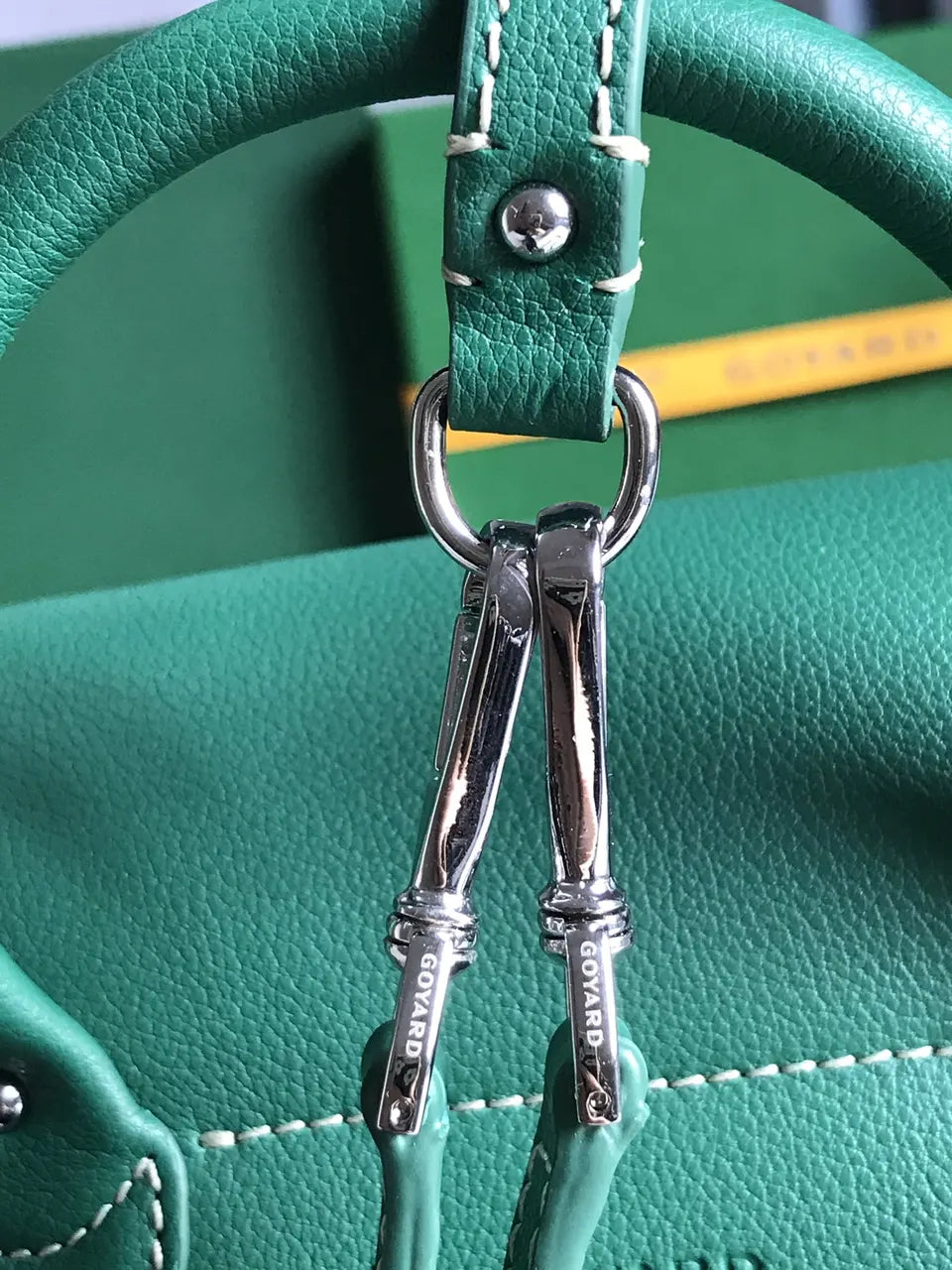 Goyard Vert Dublin Backpack - Hình 4