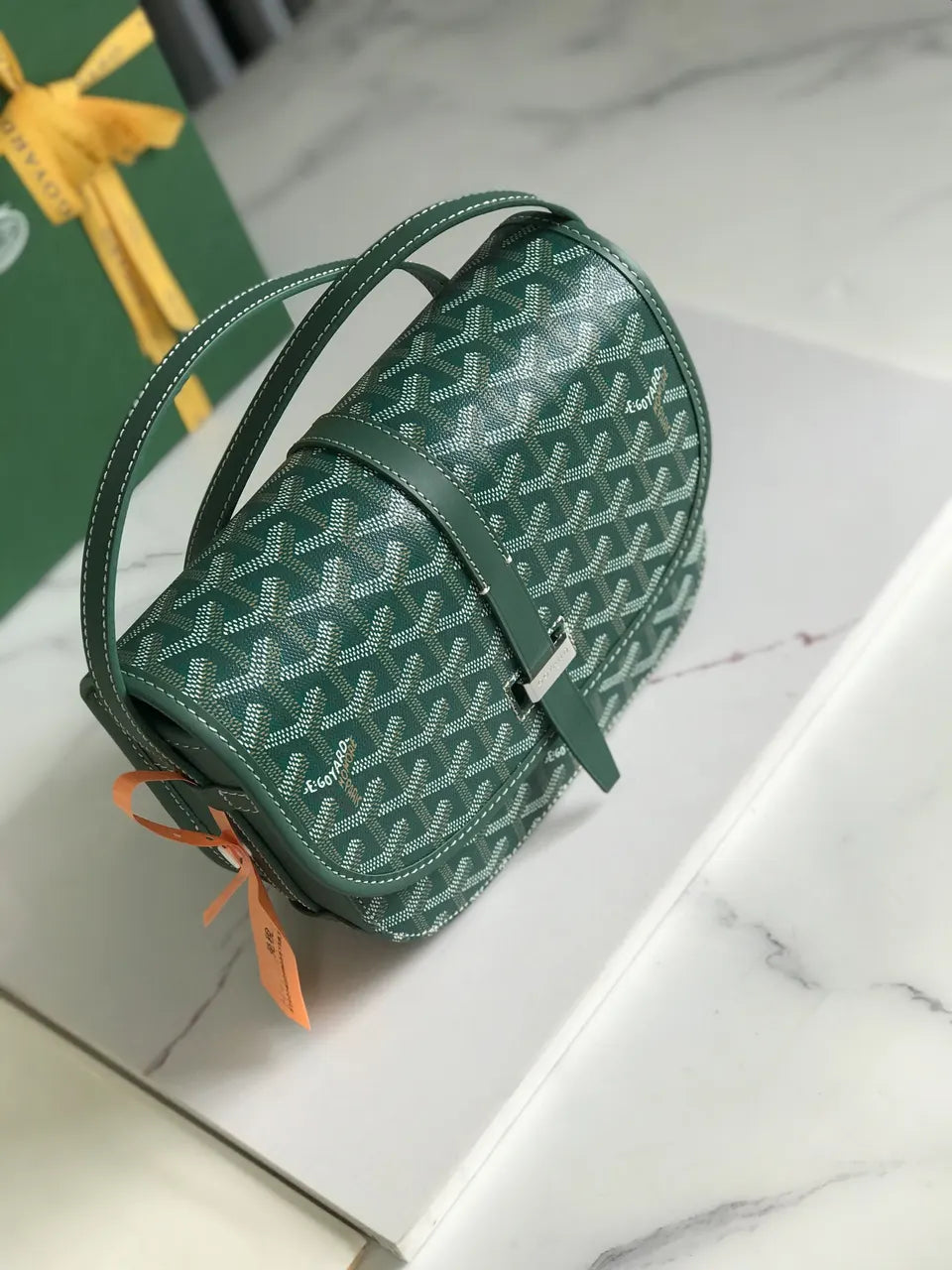 signature Goyard Green Monte Carlo Bag - Hình 3