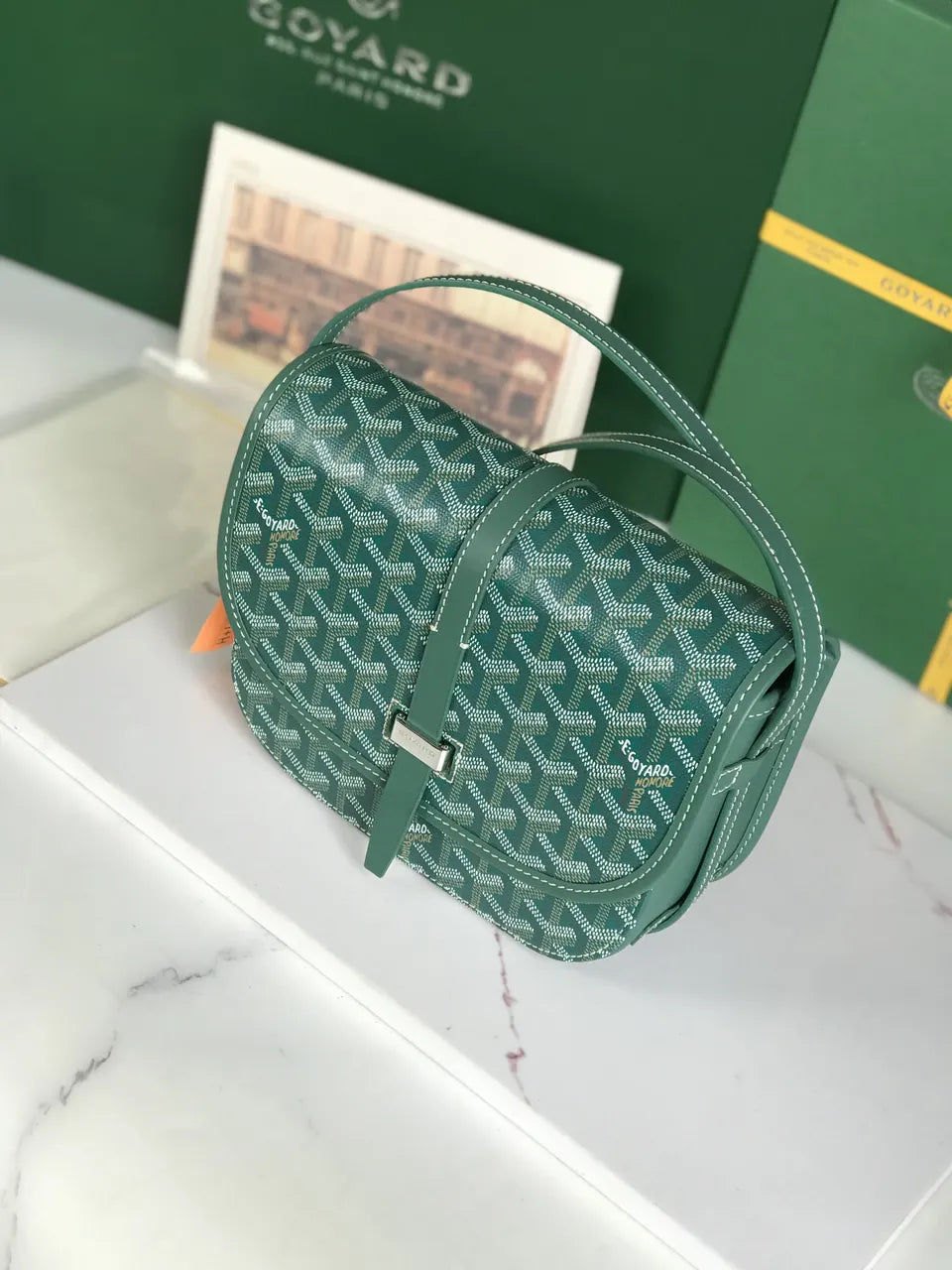signature Goyard Green Monte Carlo Bag - Hình 4